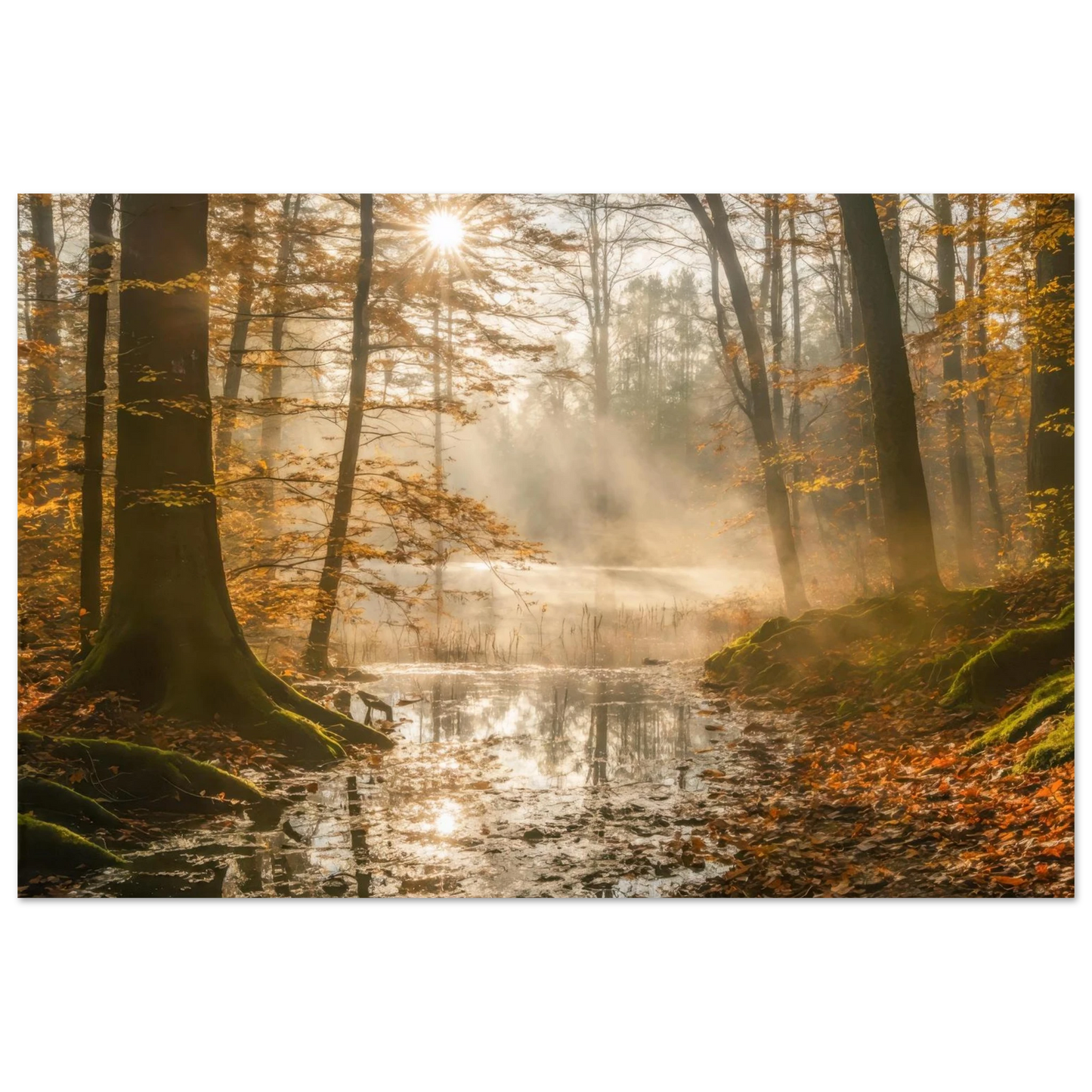 wandbild-mystischer-herbstwald