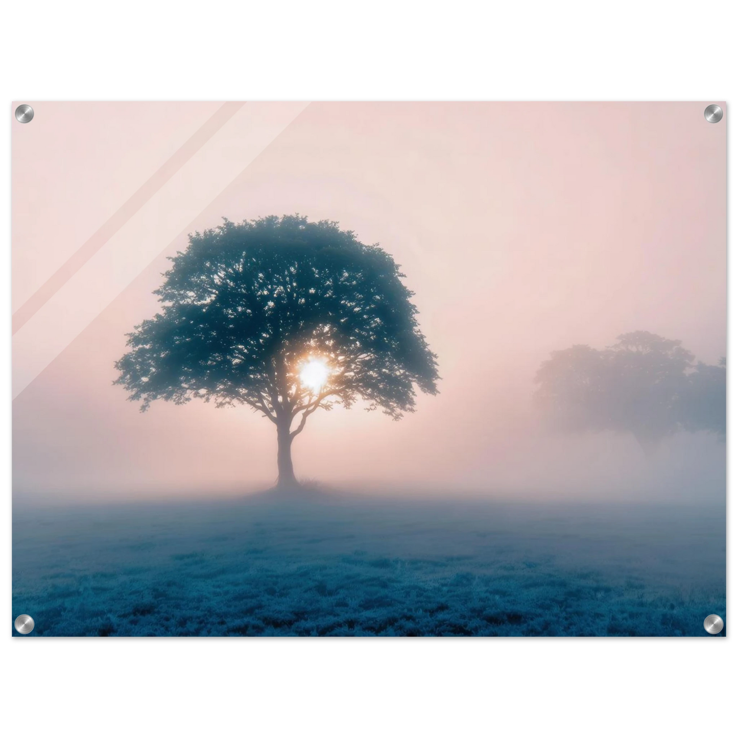 Wandbild mystischer morgendaemmerung baum traumhaftes landschaftsbild fuer ihre wohlfuehloase