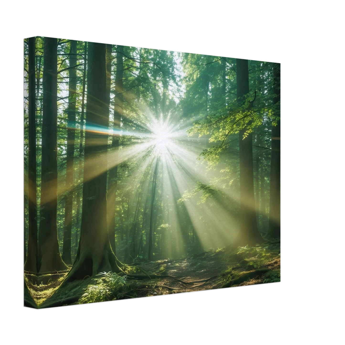 Wandbild sonnenstrahlen im wald mystisches waldlicht kunstdruck in ihrer wunschgroesse