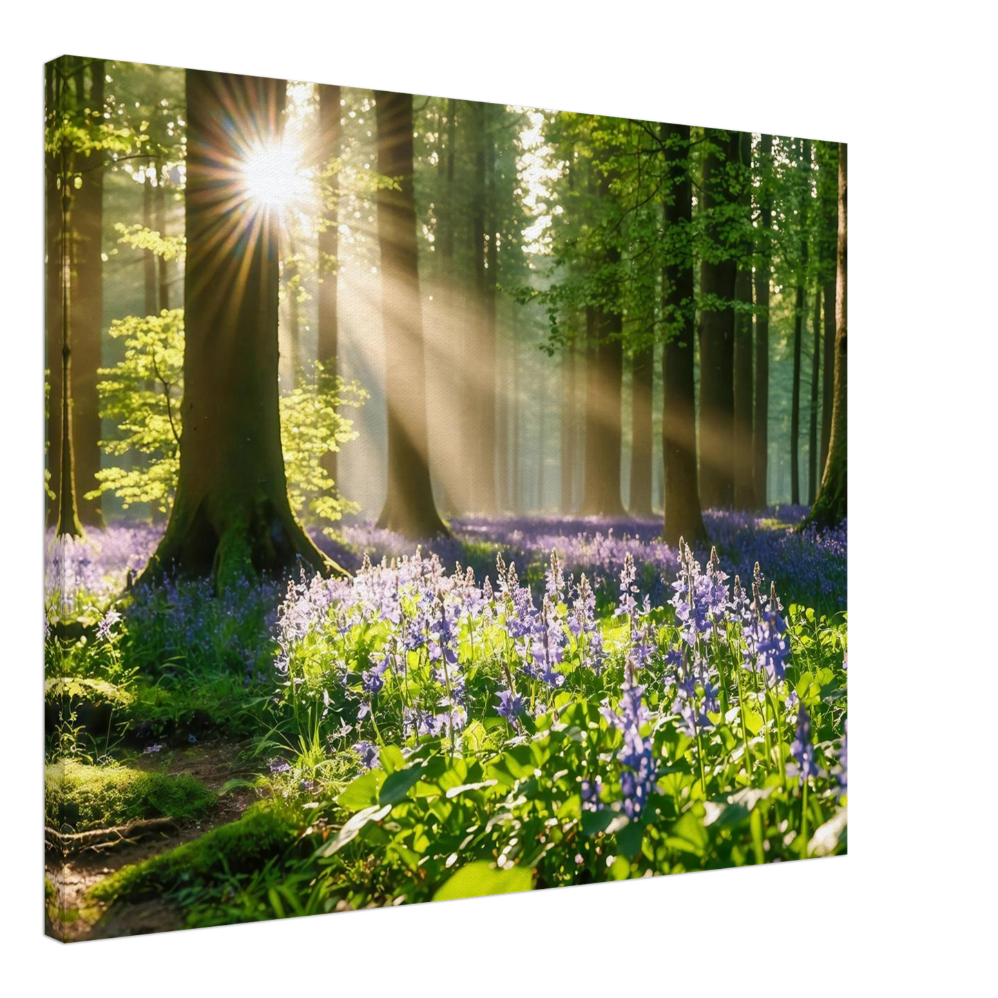 Wandbild mystischer morgenwald mit sonnenstrahlen und lila blueten in vielen groessen
