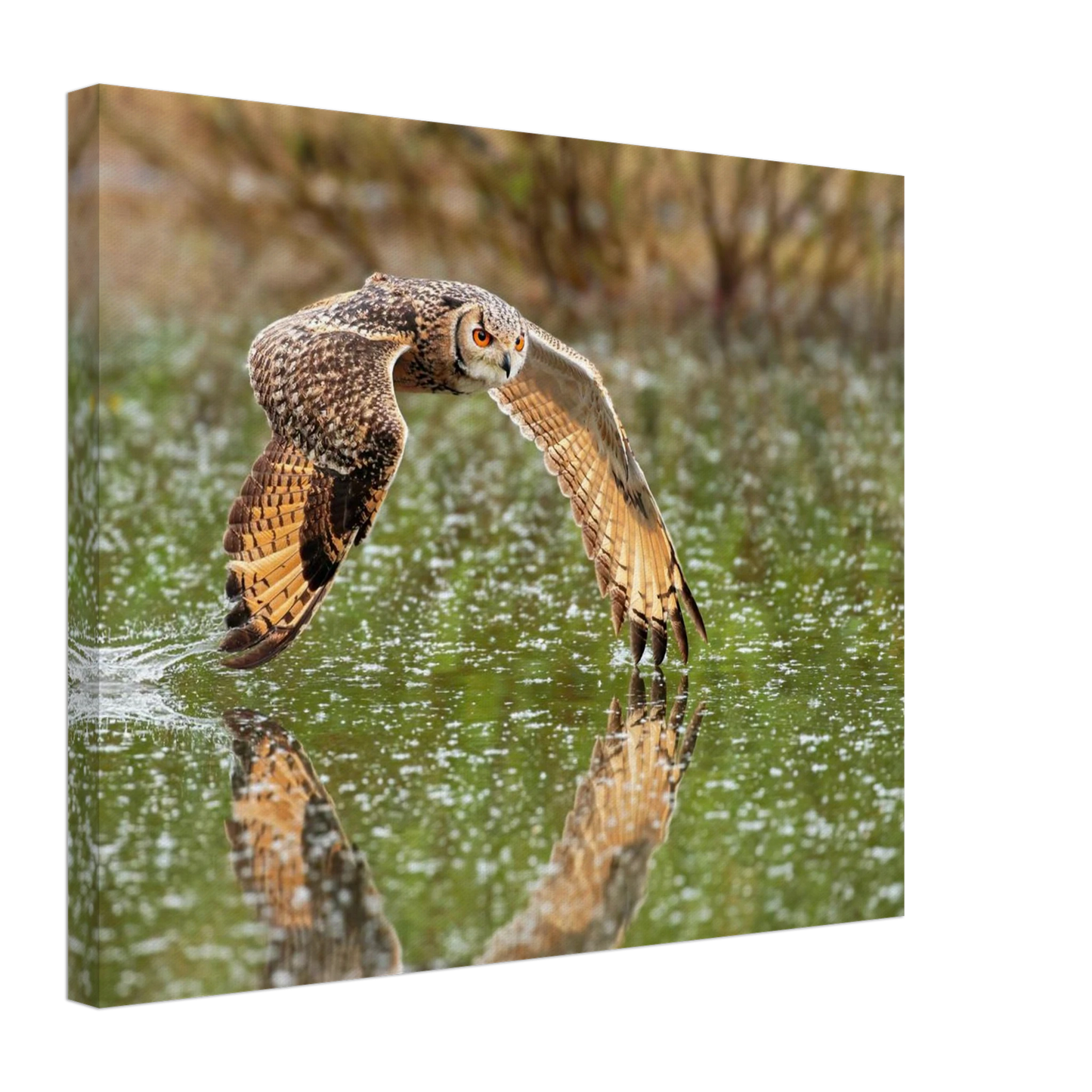 Wandbild majestaetische eule im flug naturfotografie mit lebendigen orangetoenen in ihrer wunschgroesse