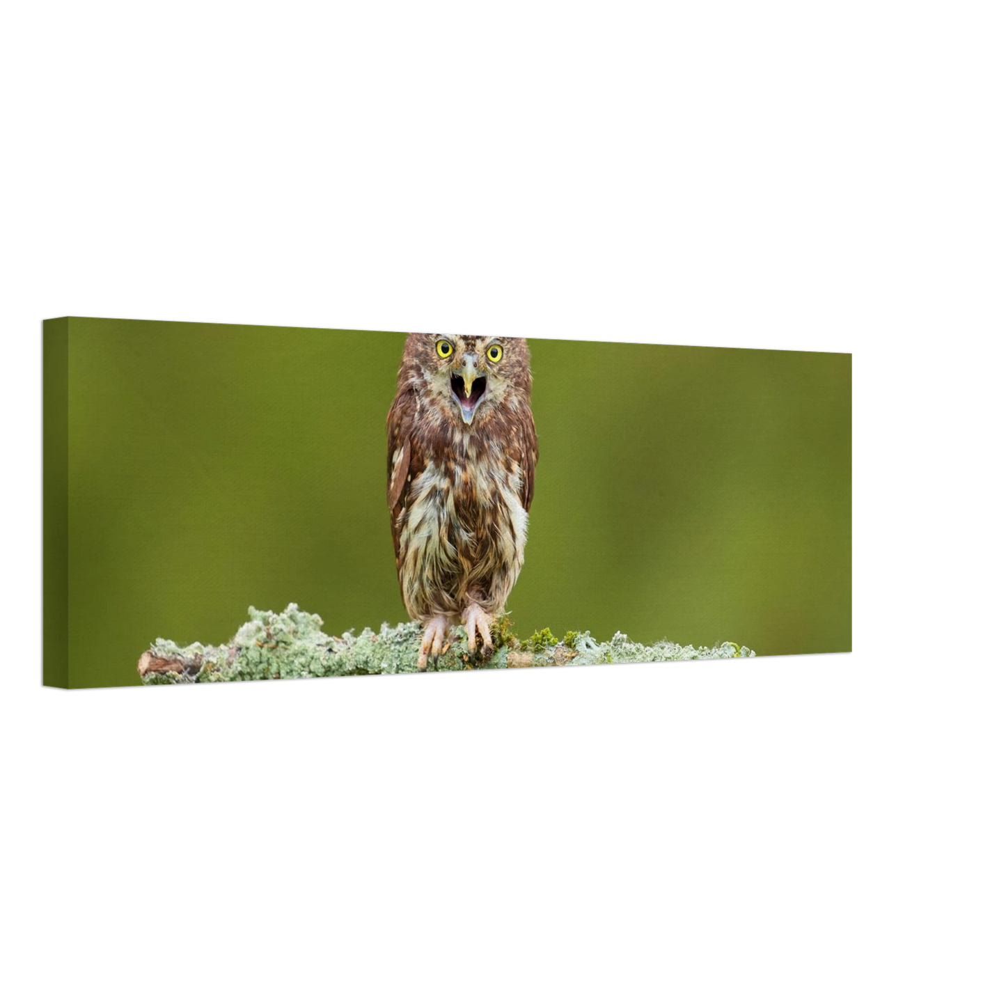 Wandbild rufer der wildnis faszinierendes eulen portraet mit leuchtenden augen fuer ihr zuhause