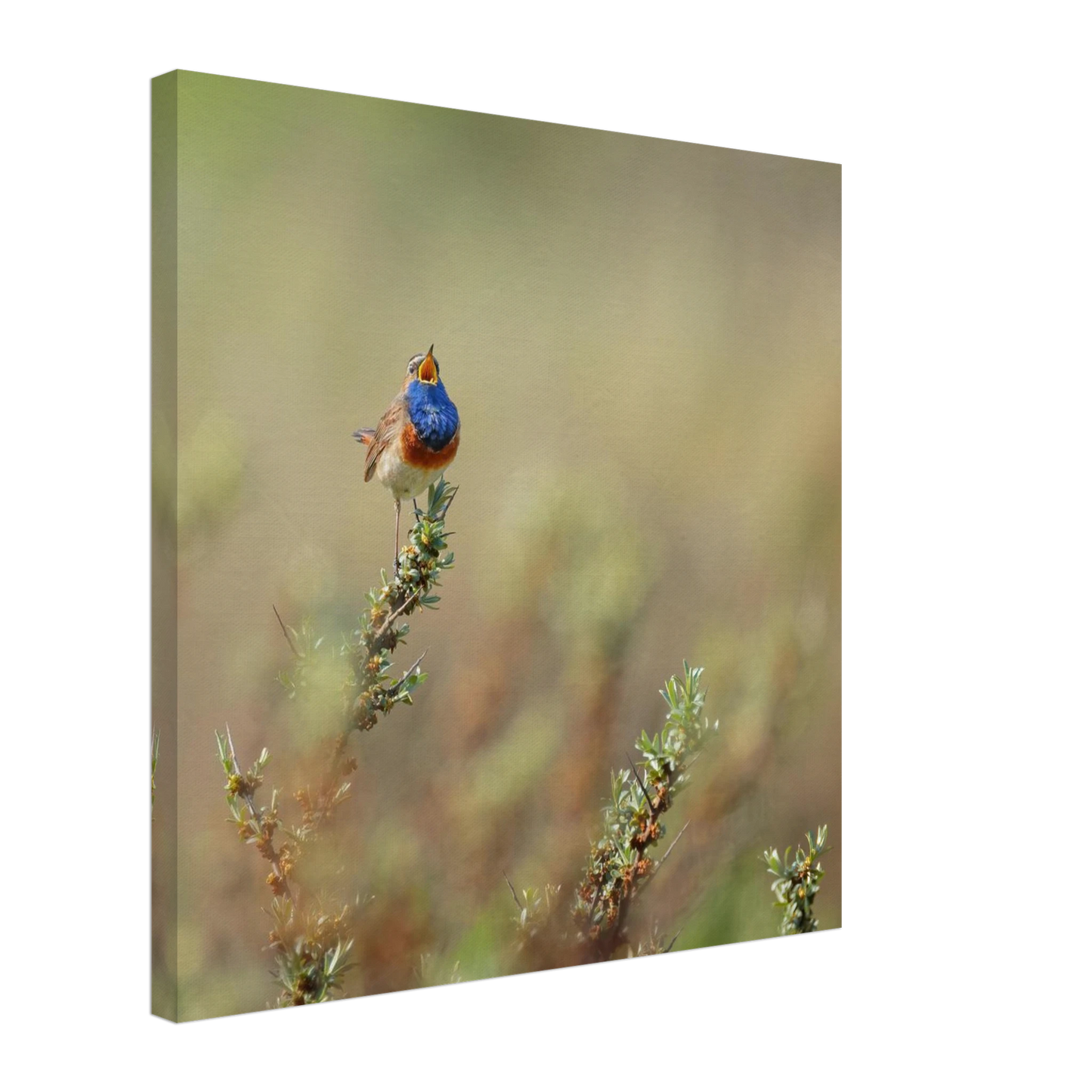 Wandbild lebendige nachtigall ein meisterwerk der naturfotografie fuer ihr zuhause