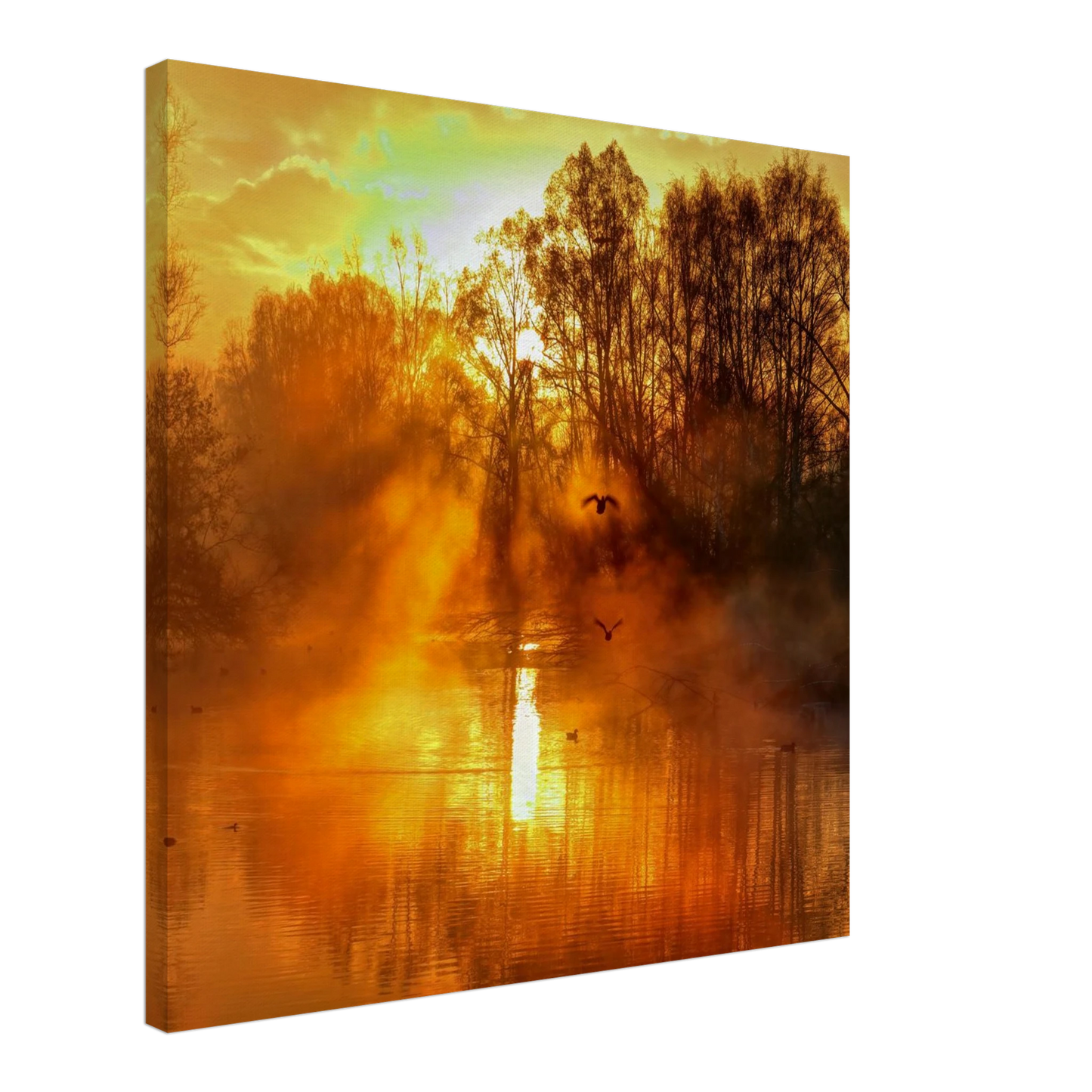 Wandbild Goldene morgenroete wandbild nebelwald poster in 25 groessenausfuehrungen