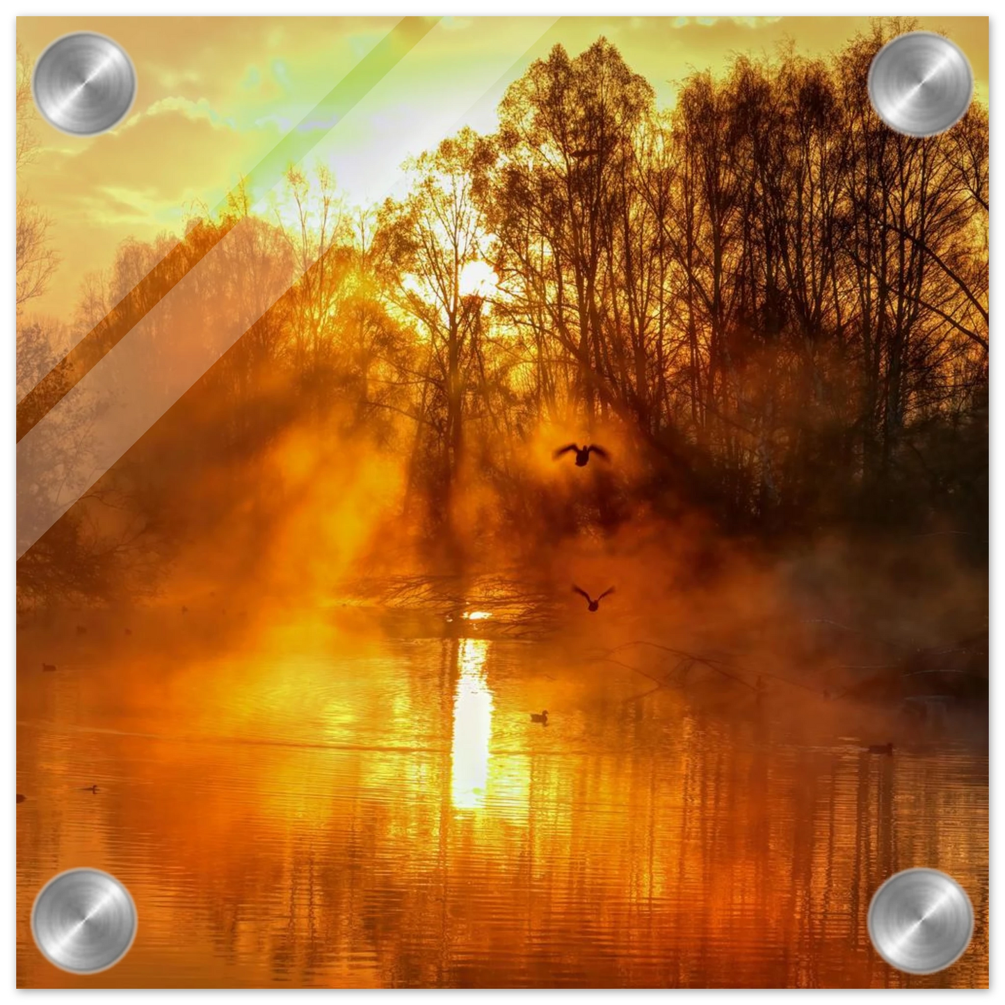 Wandbild Goldene morgenroete wandbild nebelwald poster in 25 groessenausfuehrungen
