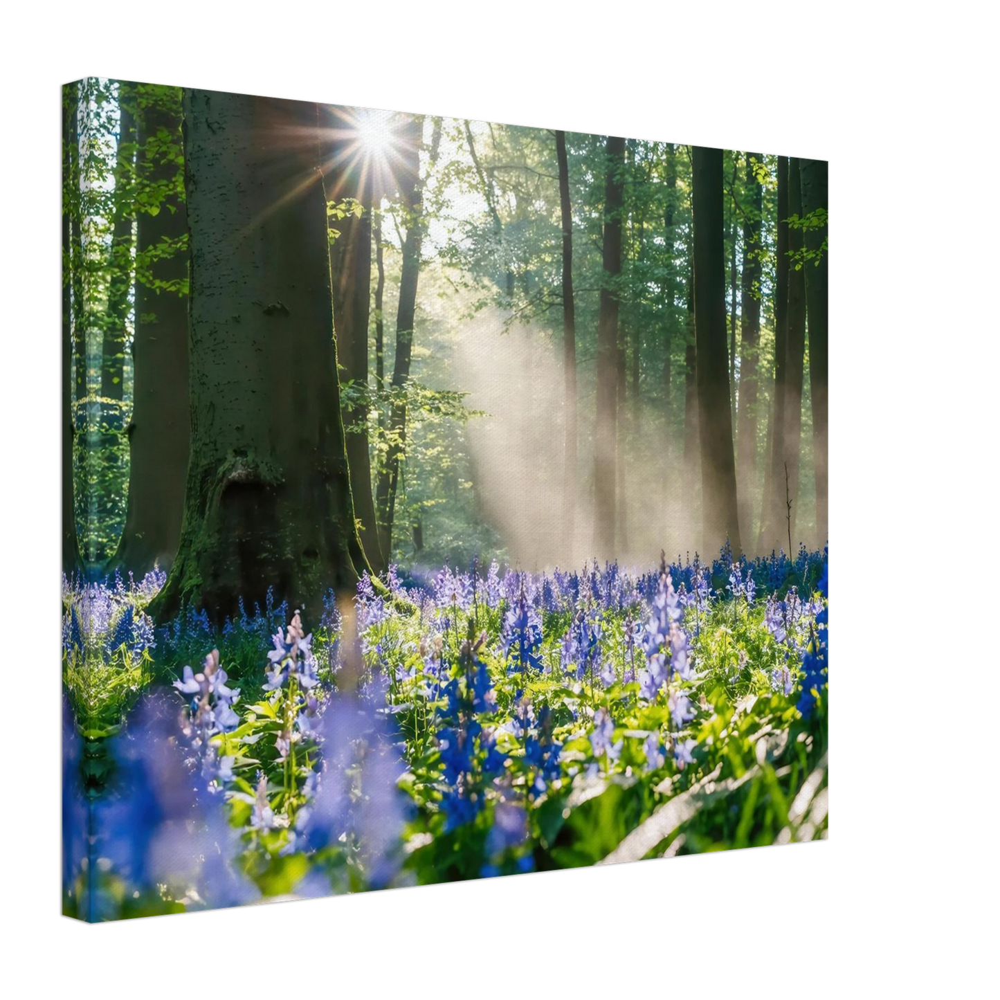 Wandbild mystische waldlichtung mit blauen glockenblumen sonnenverwoehntes naturbild in verschiedenen groessen
