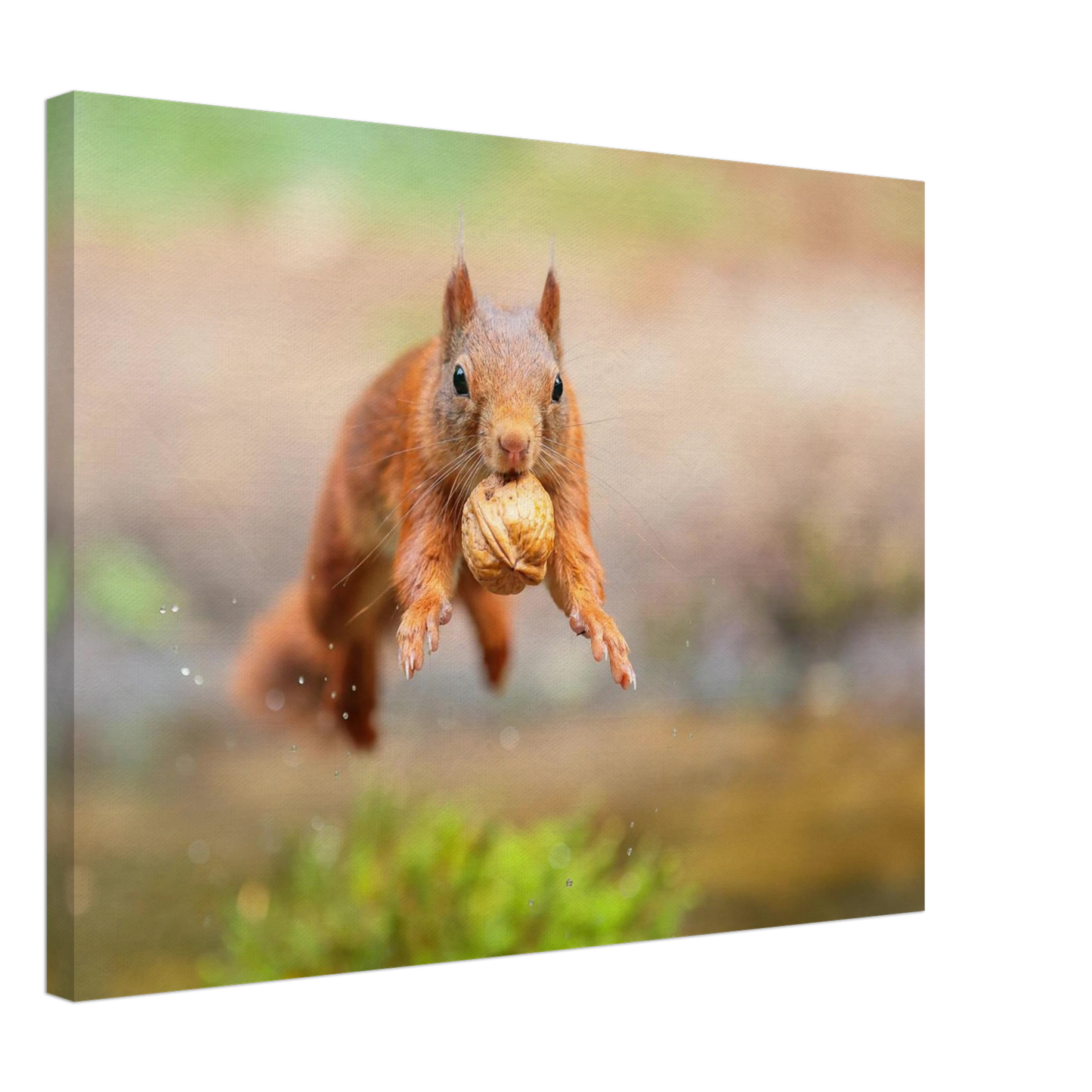 Wandbild eichhoernchens freudensprung dynamische tierkunst in leuchtenden farben