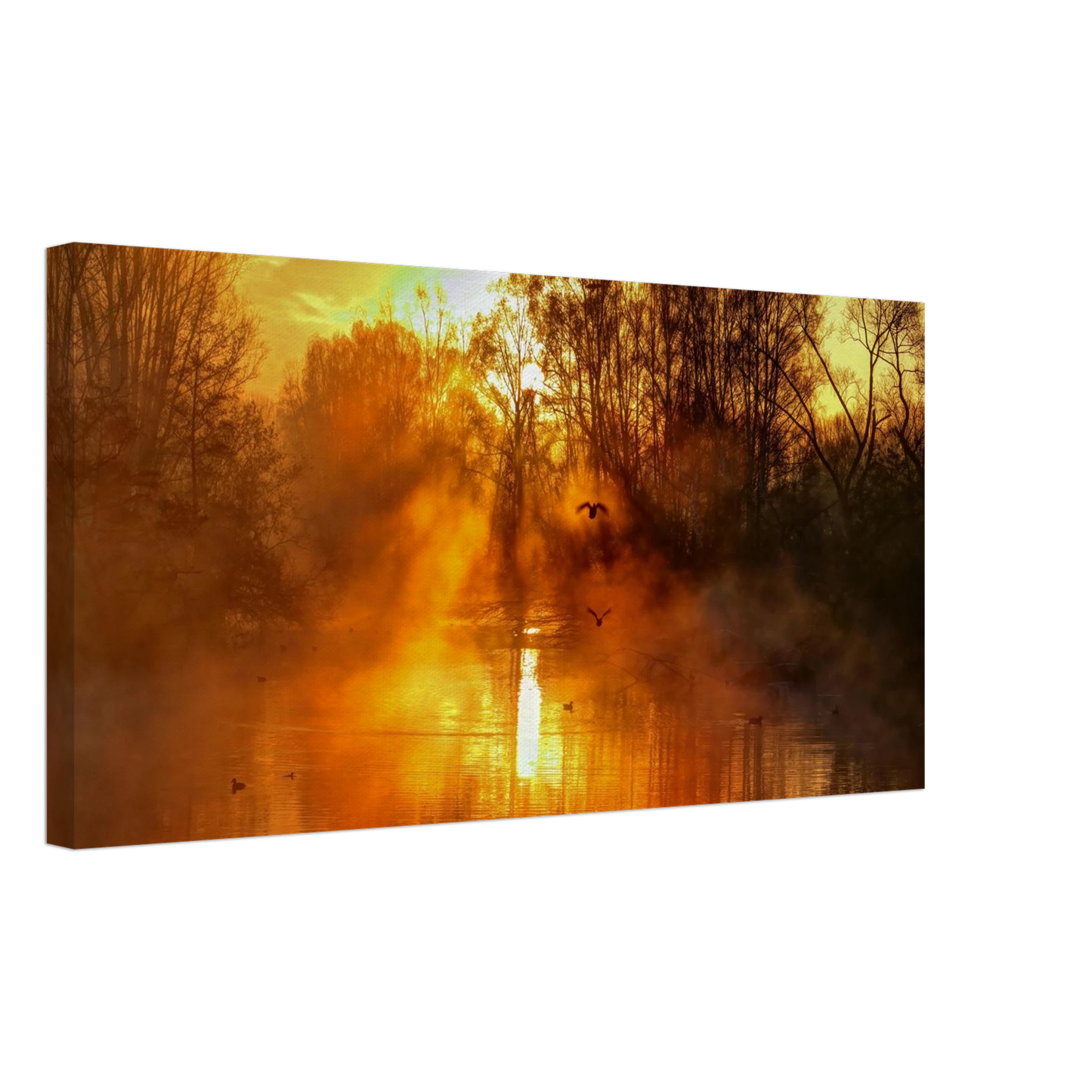 Wandbild Goldene morgenroete wandbild nebelwald poster in 25 groessenausfuehrungen