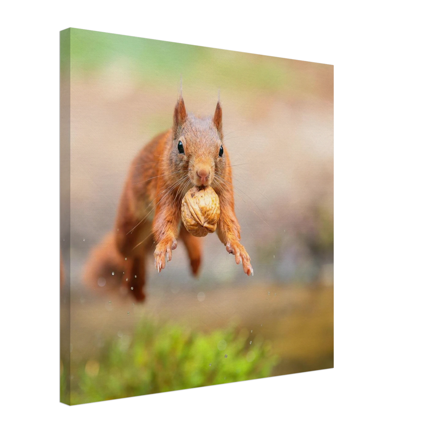 Wandbild eichhoernchens freudensprung dynamische tierkunst in leuchtenden farben