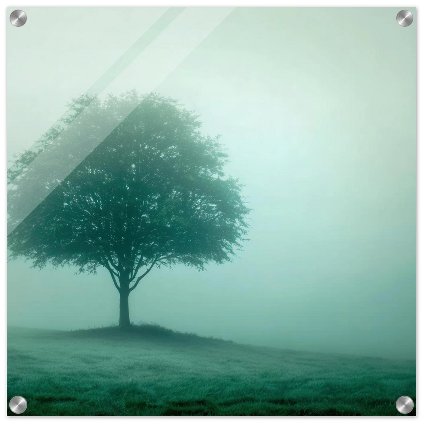 Wandbild mystischer baum im nebel ruhe und gruentoene fuer dein zuhause