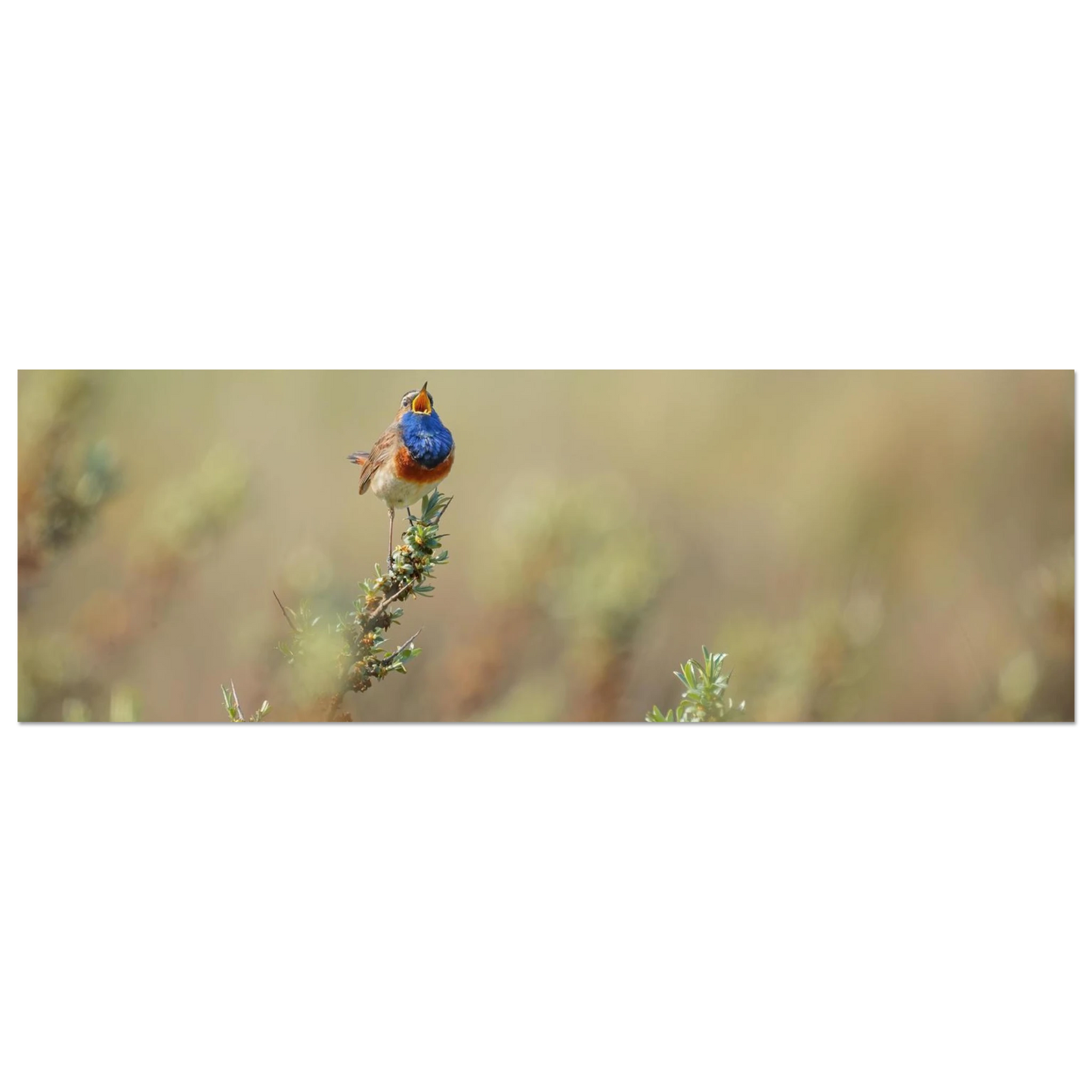 Wandbild lebendige nachtigall ein meisterwerk der naturfotografie fuer ihr zuhause