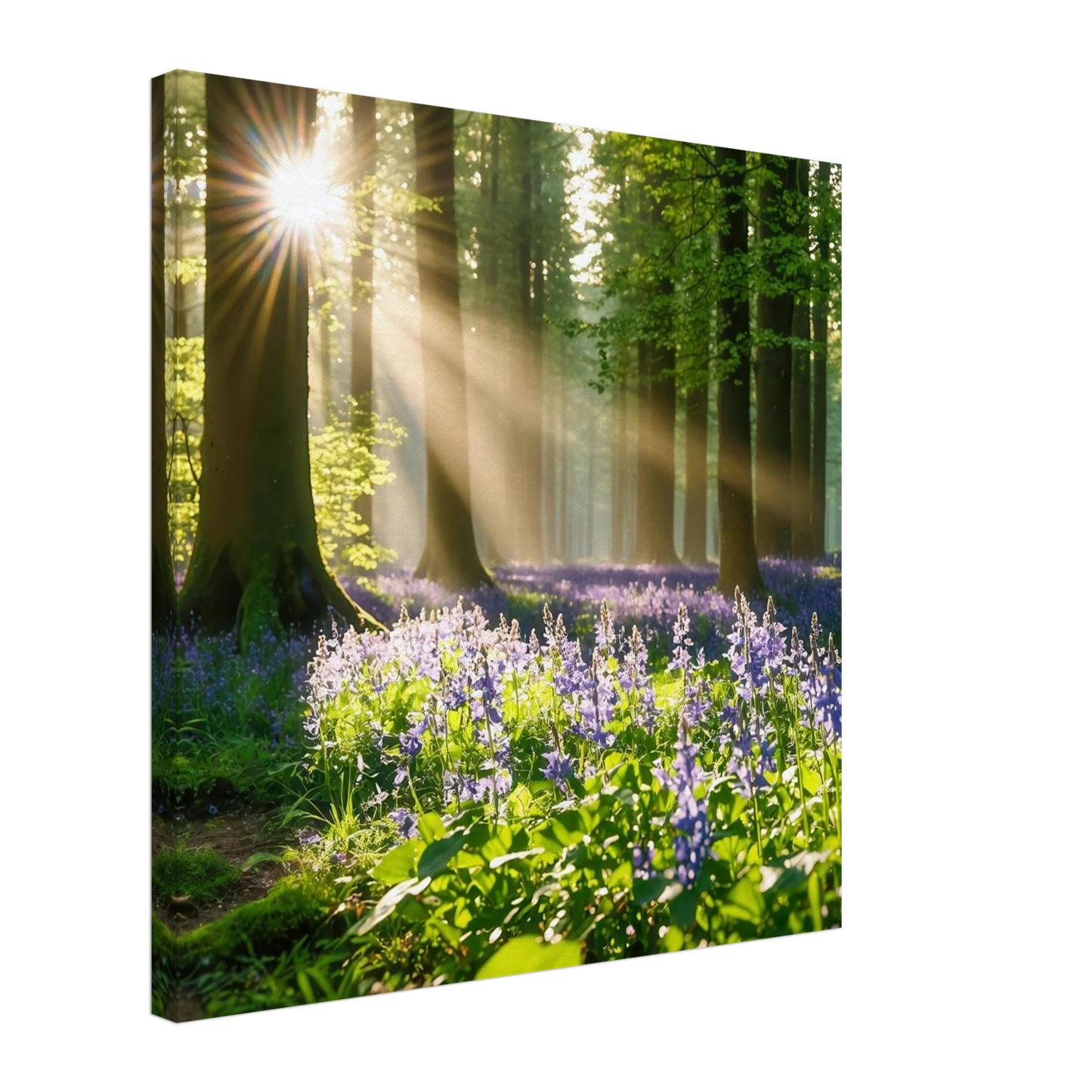Wandbild mystischer morgenwald mit sonnenstrahlen und lila blueten in vielen groessen