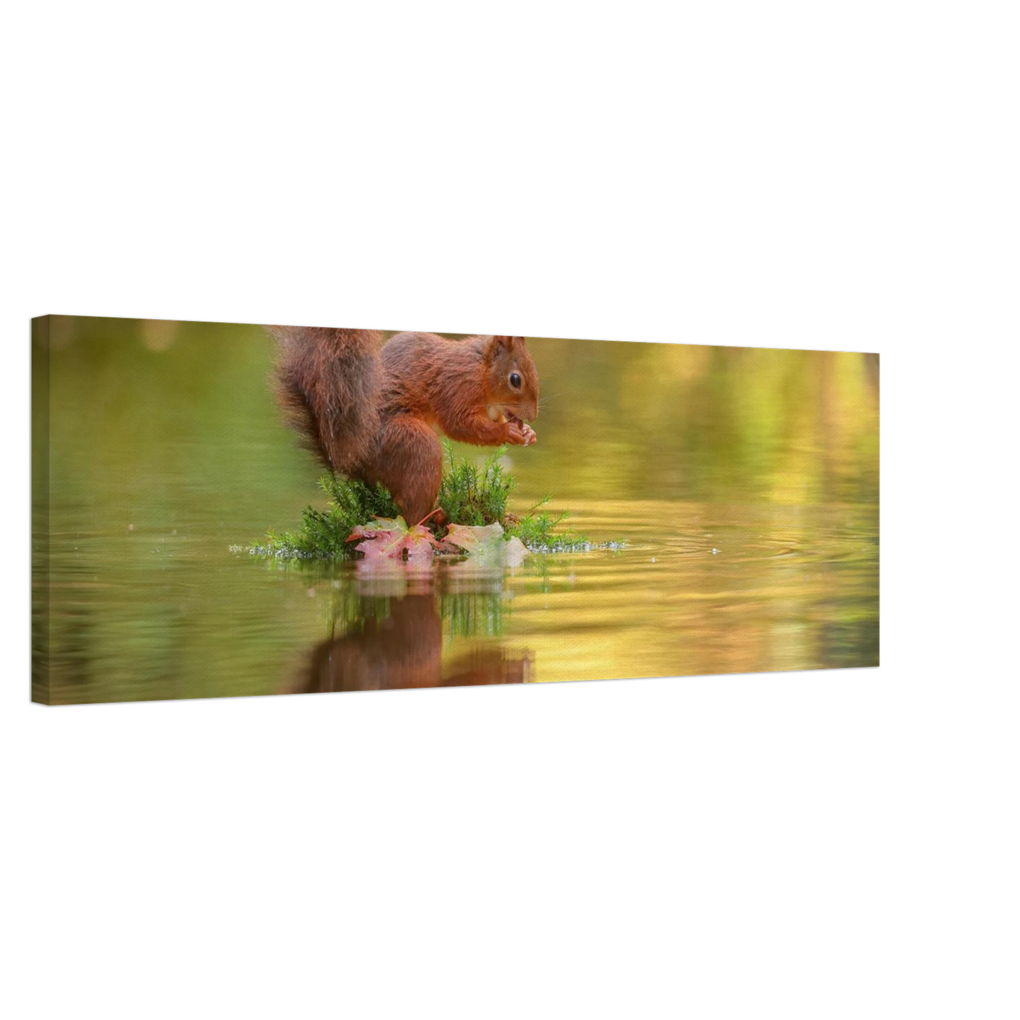 Wandbild bezauberndes eichhoernchen mit nuss lebendige wildtierkunst fuer ihr zuhause