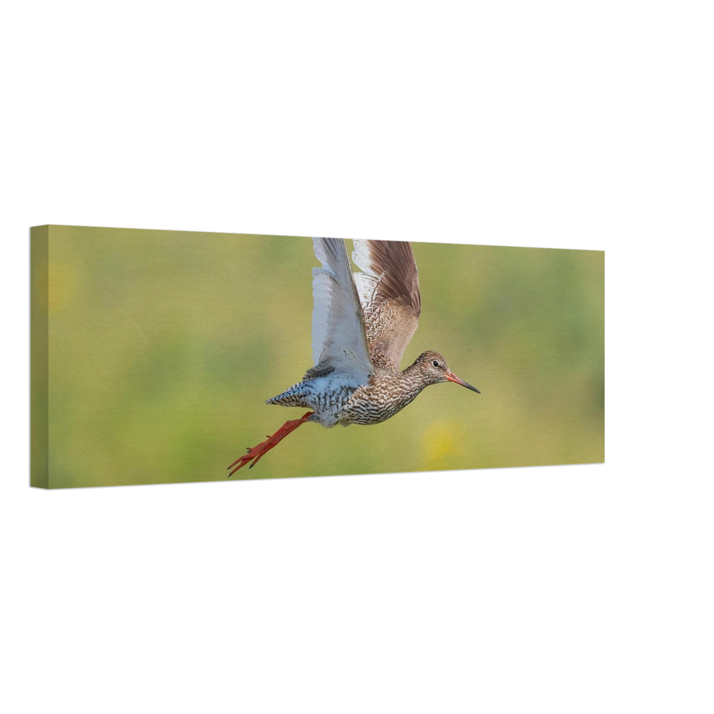 Wandbild der flug des rotschenkels dynamische tierkunst fuer ihr zuhause in vielen groessen erhaeltlich