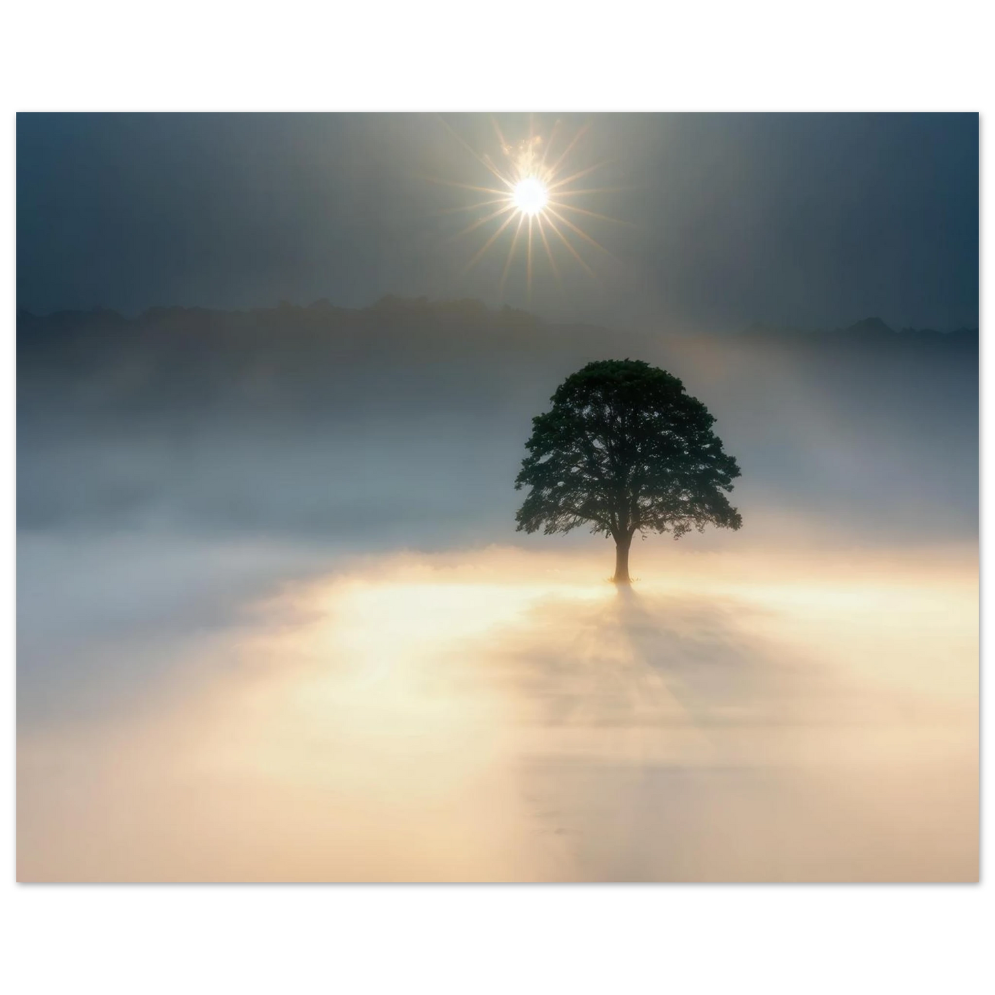 Wandbild mystisches baum wandbild einzelner baum im nebel sonnenaufgang waehlbar in verschiedenen groessen
