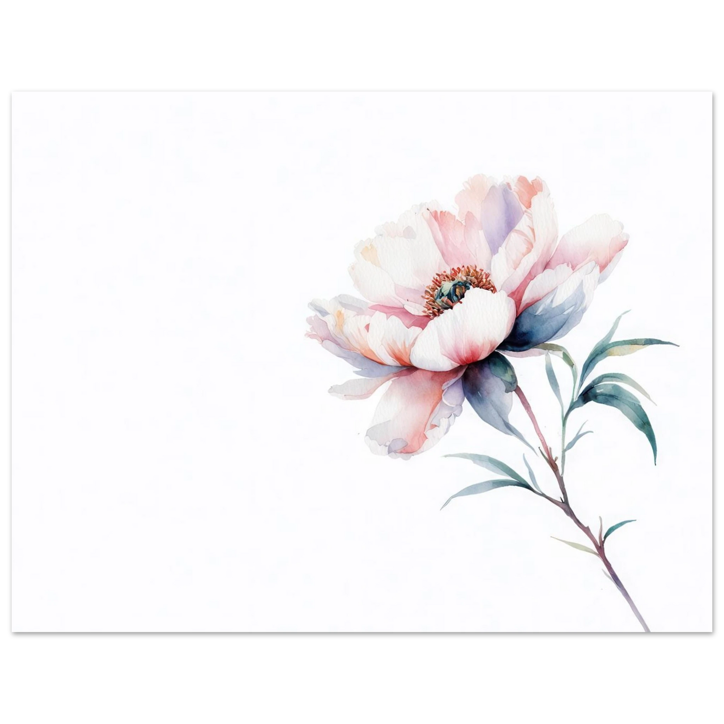 Wandbild zarte pfingstrose elegante aquarell kunst fuer ihr zuhause in wunschgroesse