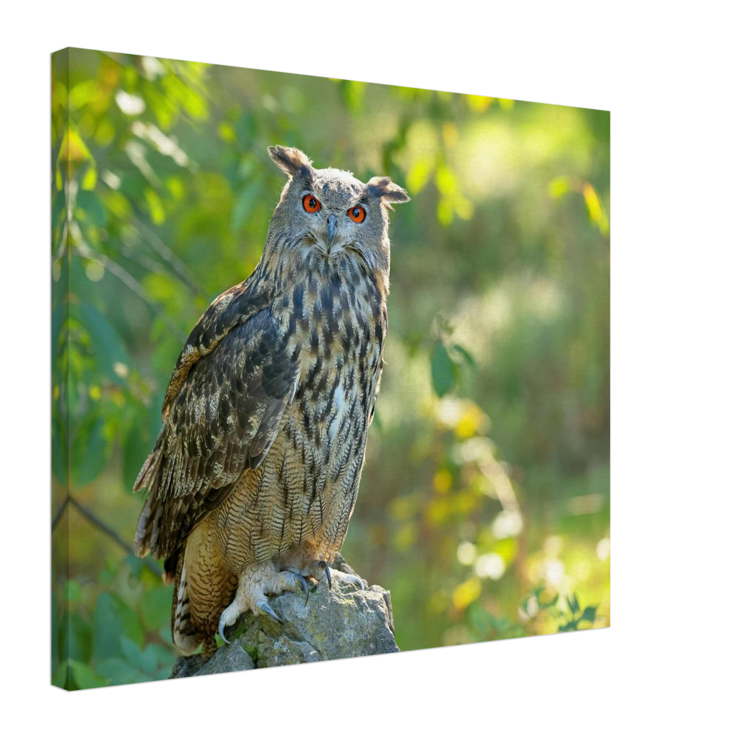 Wandbild mystische eule mit leuchtenden augen faszinierende wildtier kunst fuer ihr zuhause