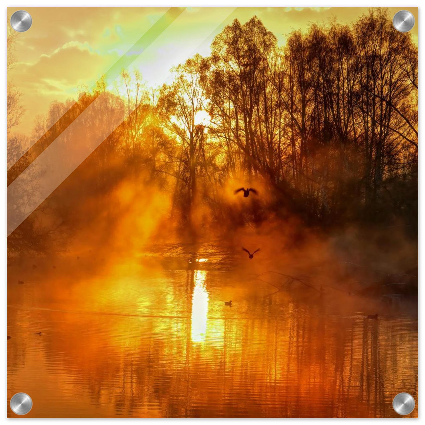 Wandbild Goldene morgenroete wandbild nebelwald poster in 25 groessenausfuehrungen