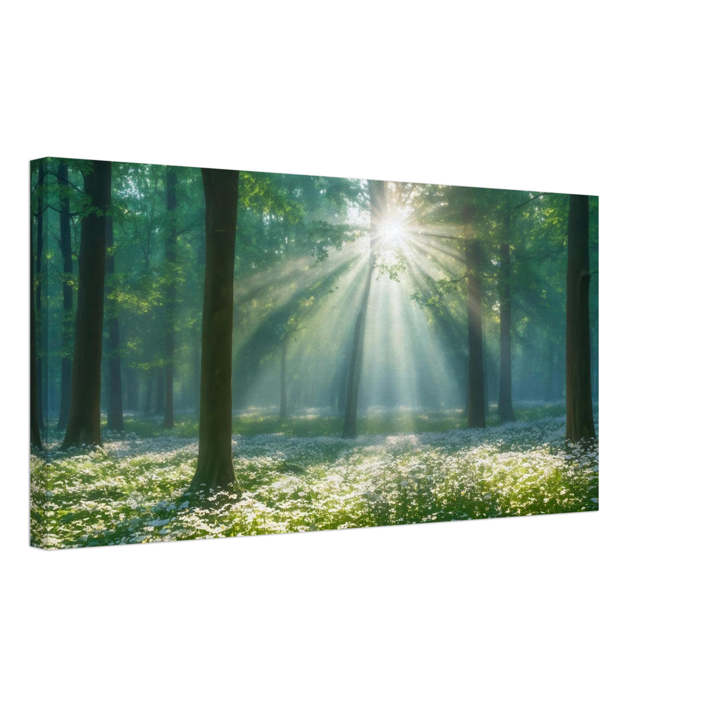Wandbild mystischer wald sonnenstrahlen im gruenen bluetenmeer