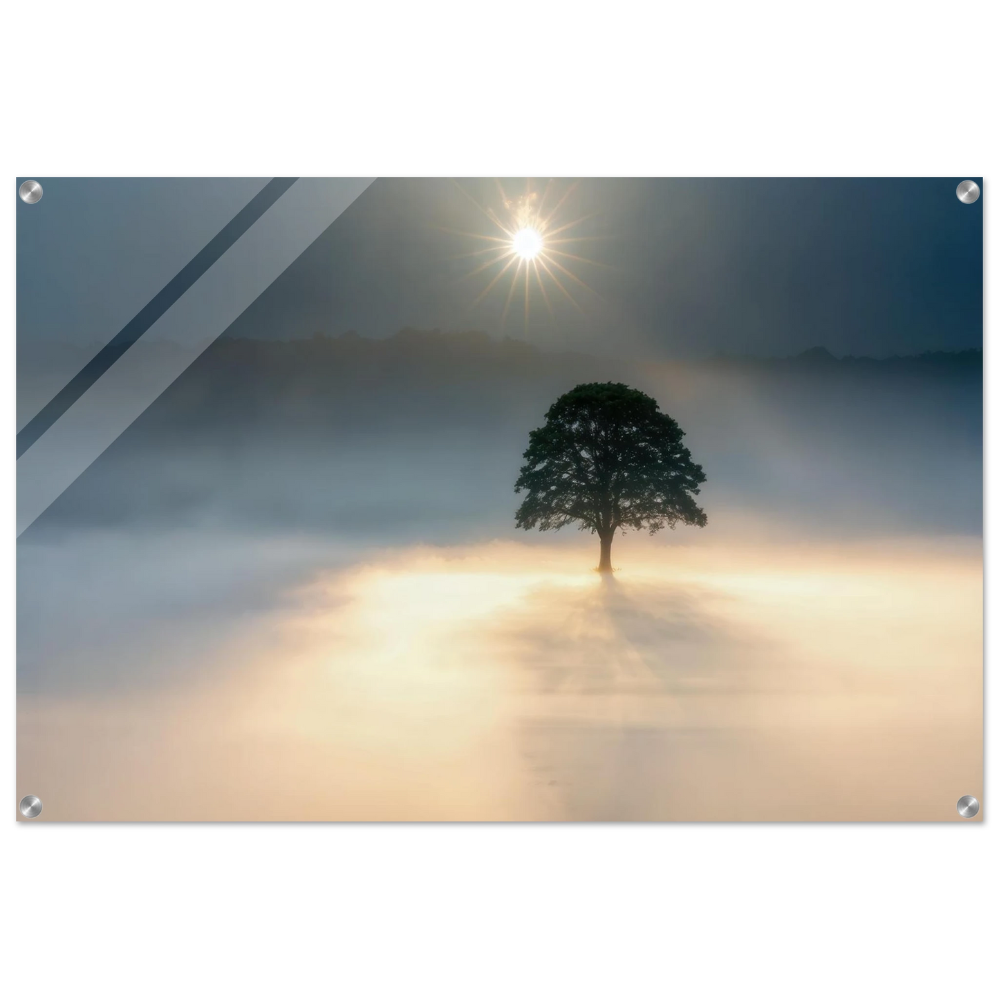 Wandbild mystisches baum wandbild einzelner baum im nebel sonnenaufgang waehlbar in verschiedenen groessen