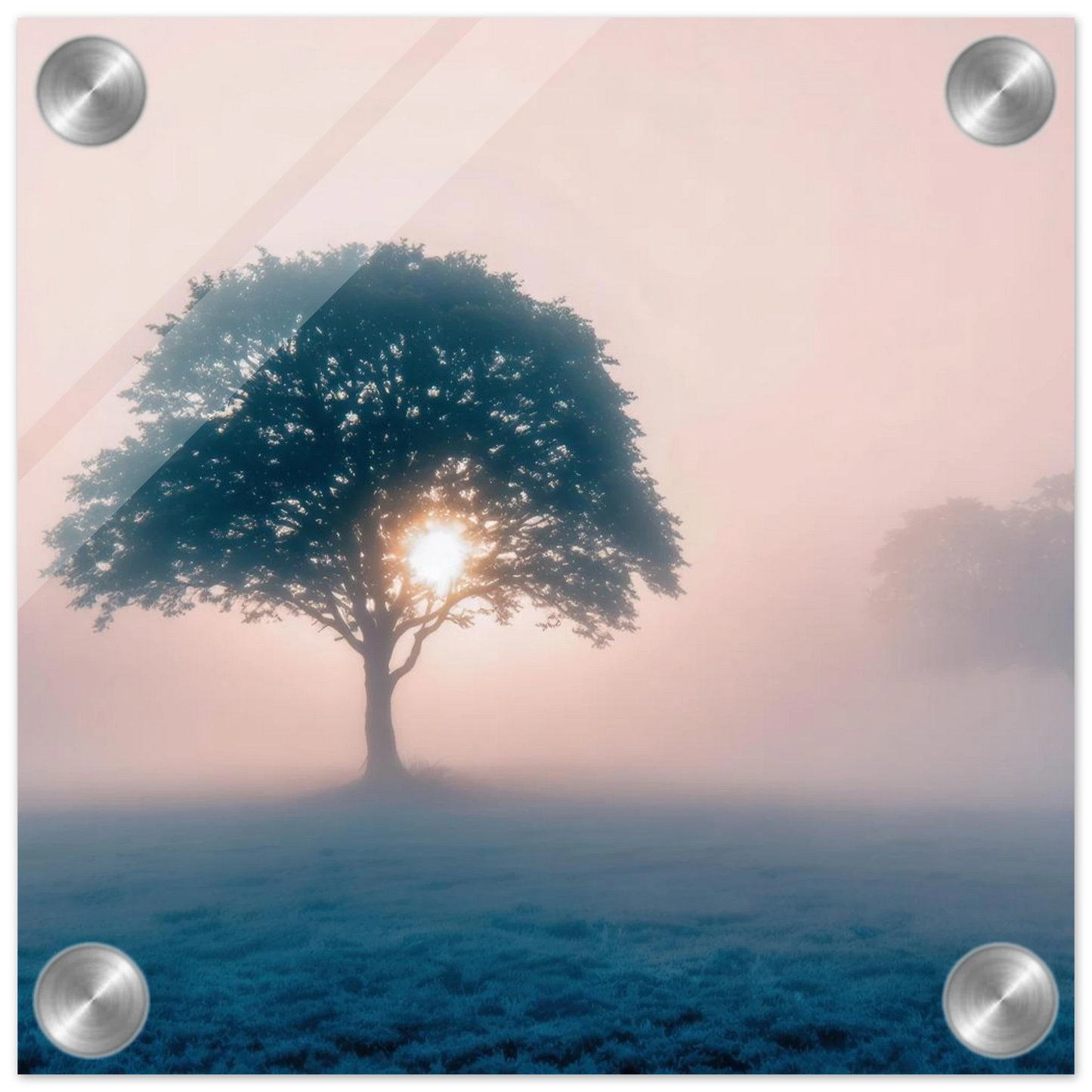 Wandbild mystischer morgendaemmerung baum traumhaftes landschaftsbild fuer ihre wohlfuehloase