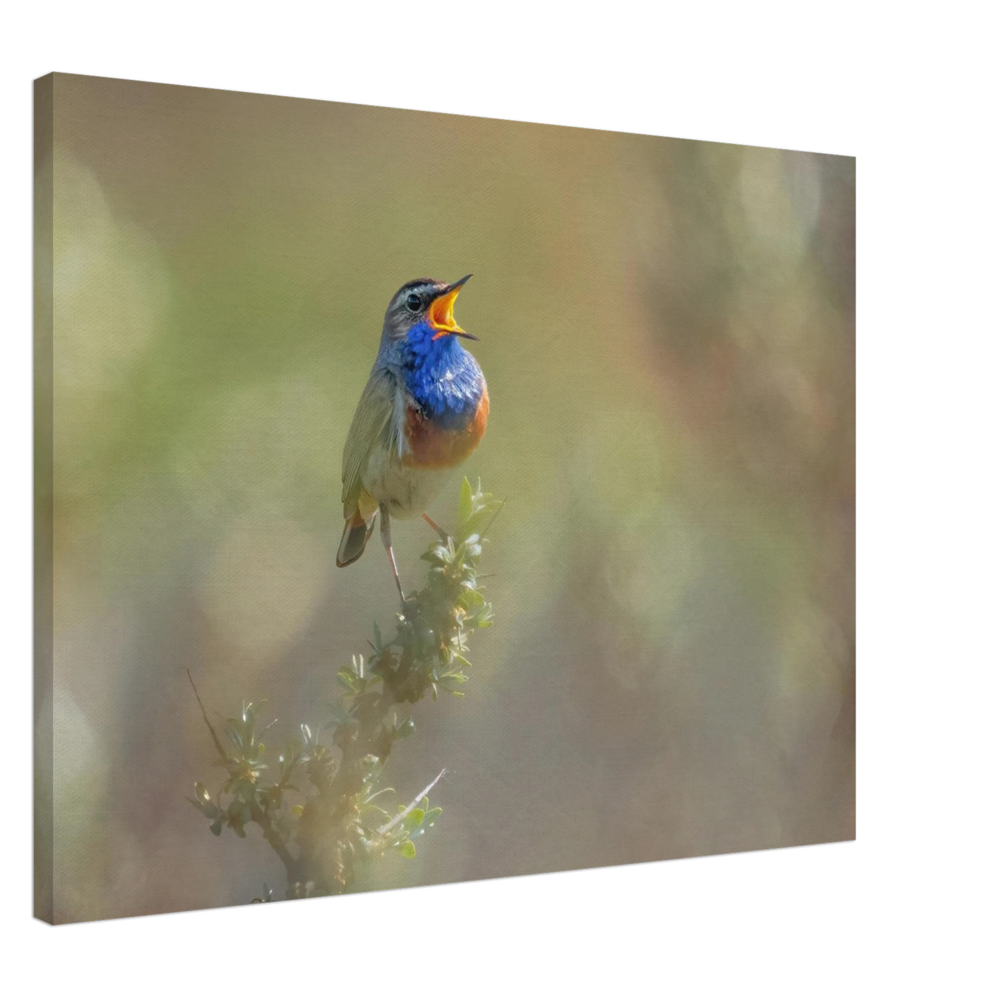Wandbild singvogel in blautoenen lebendige vogelkunst fuer ihr zuhause in ihrer wunschgroesse