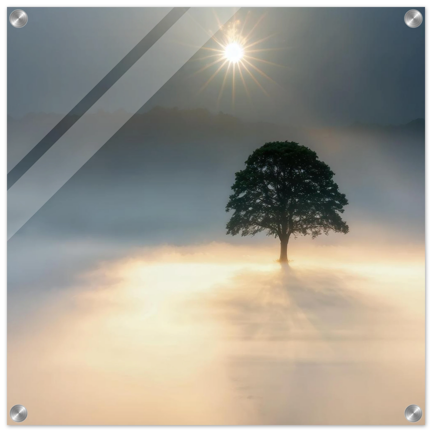 Wandbild mystisches baum wandbild einzelner baum im nebel sonnenaufgang waehlbar in verschiedenen groessen