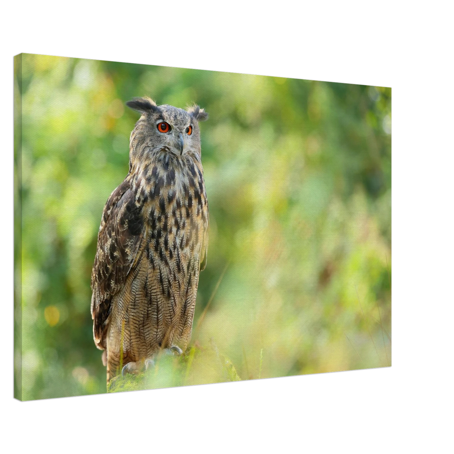 Wandbild mystische eule majestaetisches waldtier mit leuchtenden augen in ihrer wunschgroesse