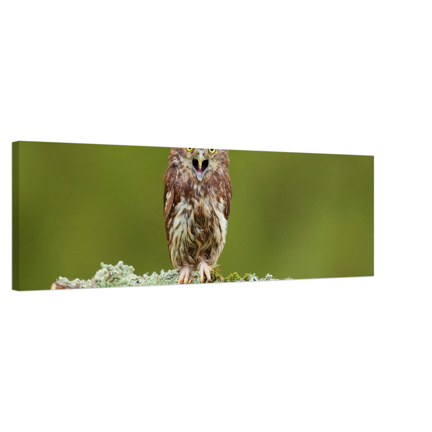 Wandbild rufer der wildnis faszinierendes eulen portraet mit leuchtenden augen fuer ihr zuhause