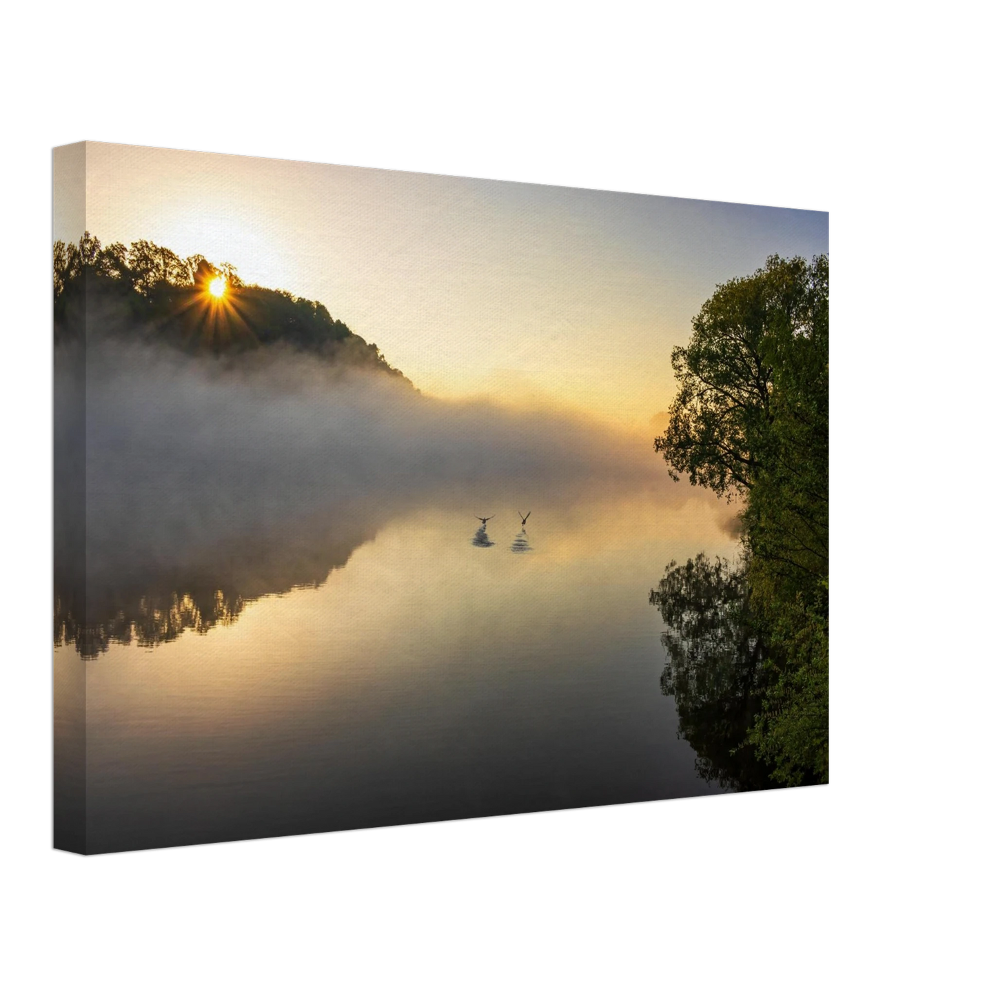 Wandbild mystischer sonnenaufgang ueber dem nebelmeer stille wasser voegel leinwandbild fuer ihr zuhause
