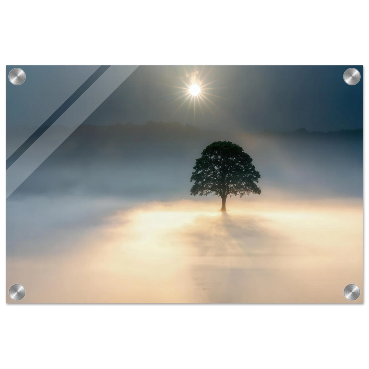 Wandbild mystisches baum wandbild einzelner baum im nebel sonnenaufgang waehlbar in verschiedenen groessen