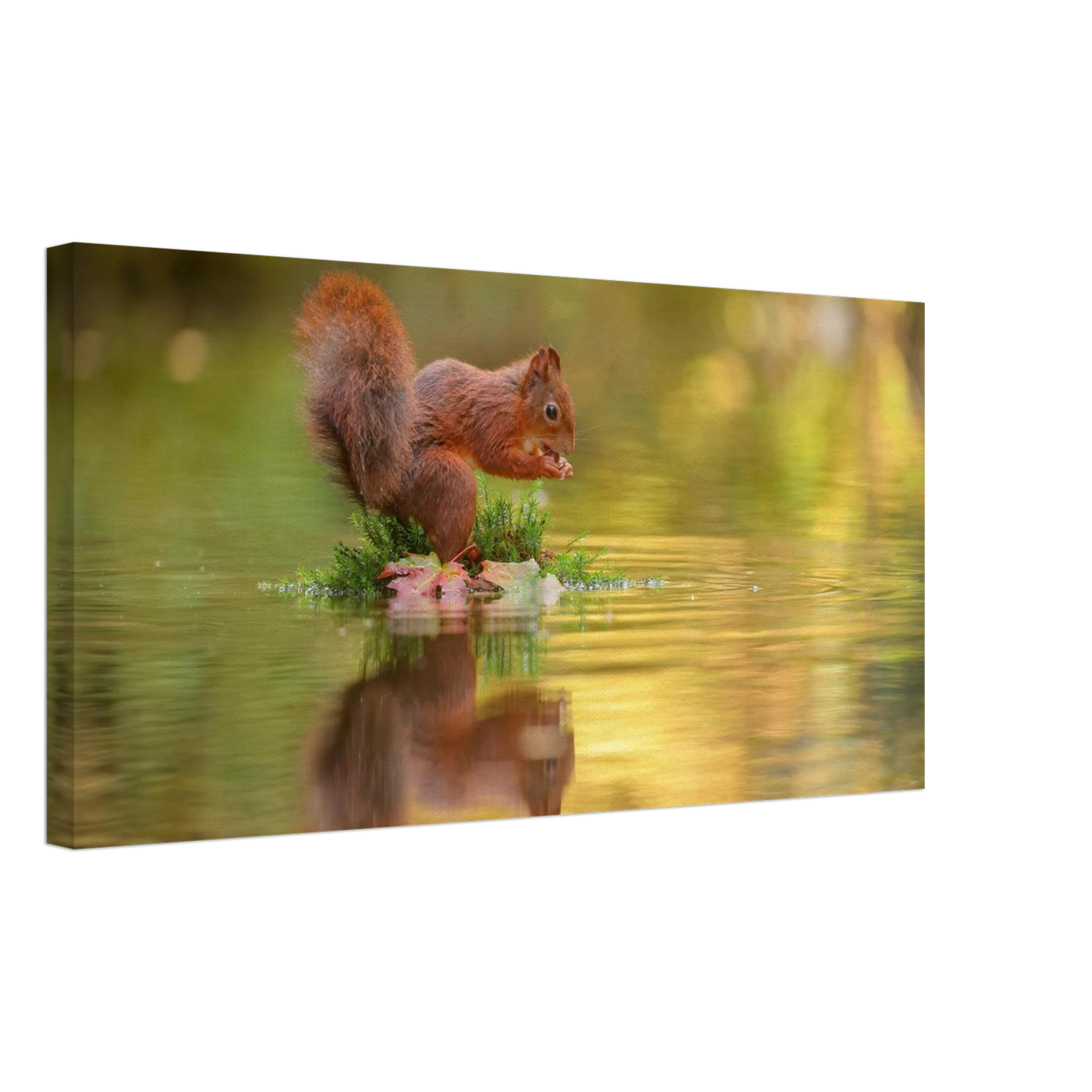 Wandbild bezauberndes eichhoernchen mit nuss lebendige wildtierkunst fuer ihr zuhause