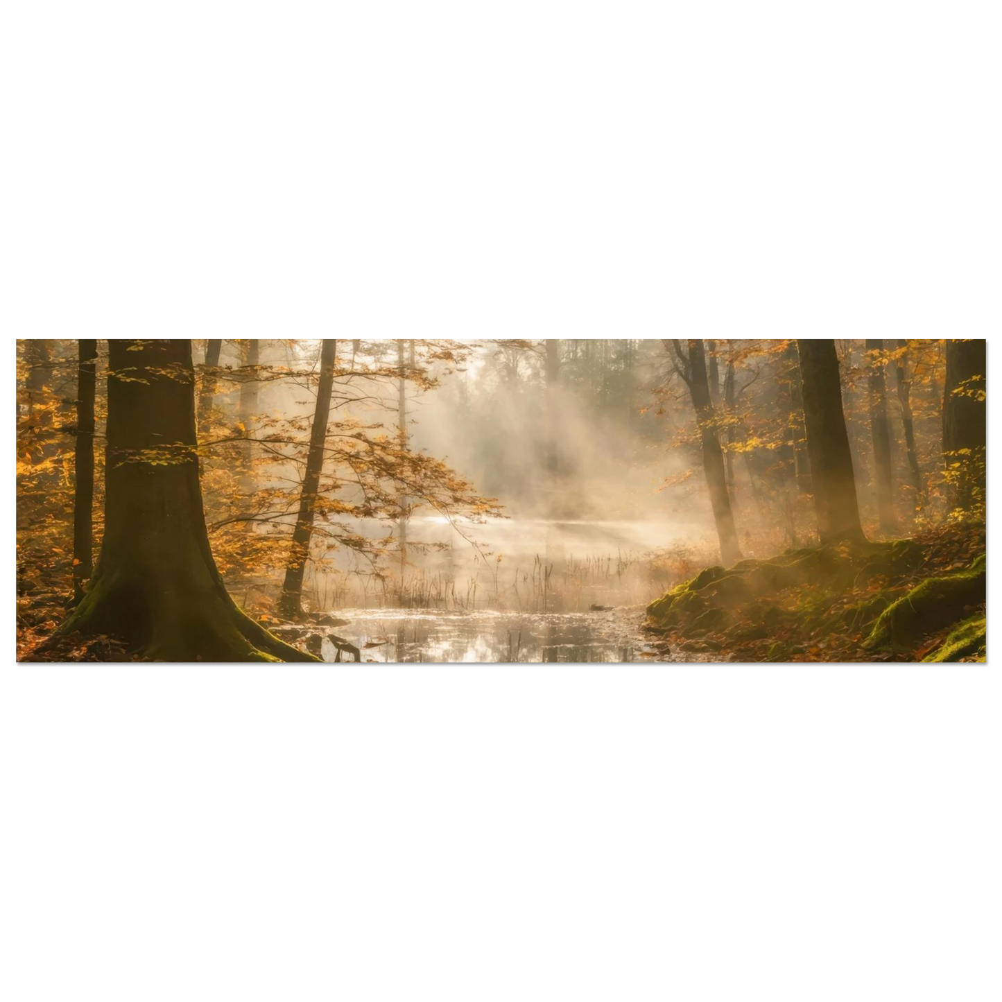643110ab-d90f-4f0e-9738-02aab507154d