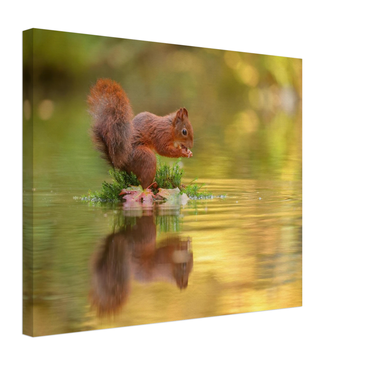Wandbild bezauberndes eichhoernchen mit nuss lebendige wildtierkunst fuer ihr zuhause