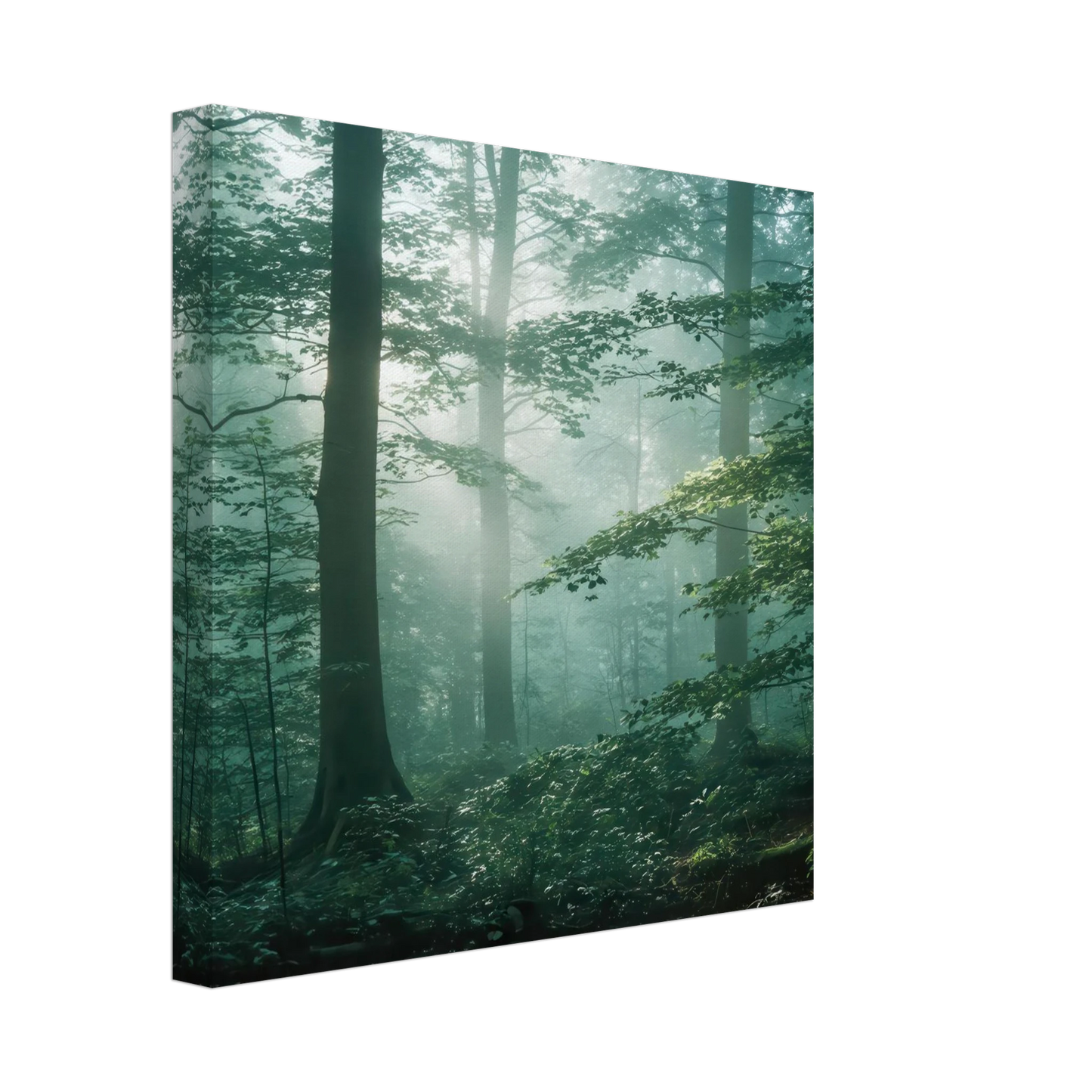 Wandbild mystischer smaragd wald mit sonnenstrahlen beruhigende nebelwald kunst in ihrer wunschgroesse