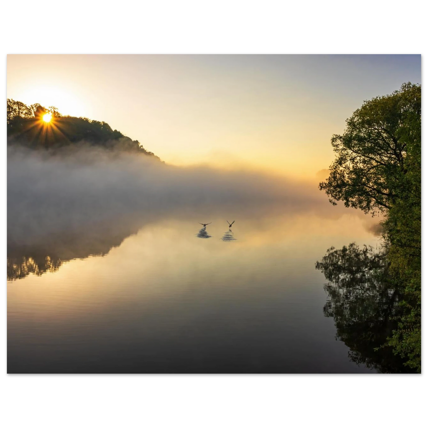 Wandbild mystischer sonnenaufgang ueber dem nebelmeer stille wasser voegel leinwandbild fuer ihr zuhause