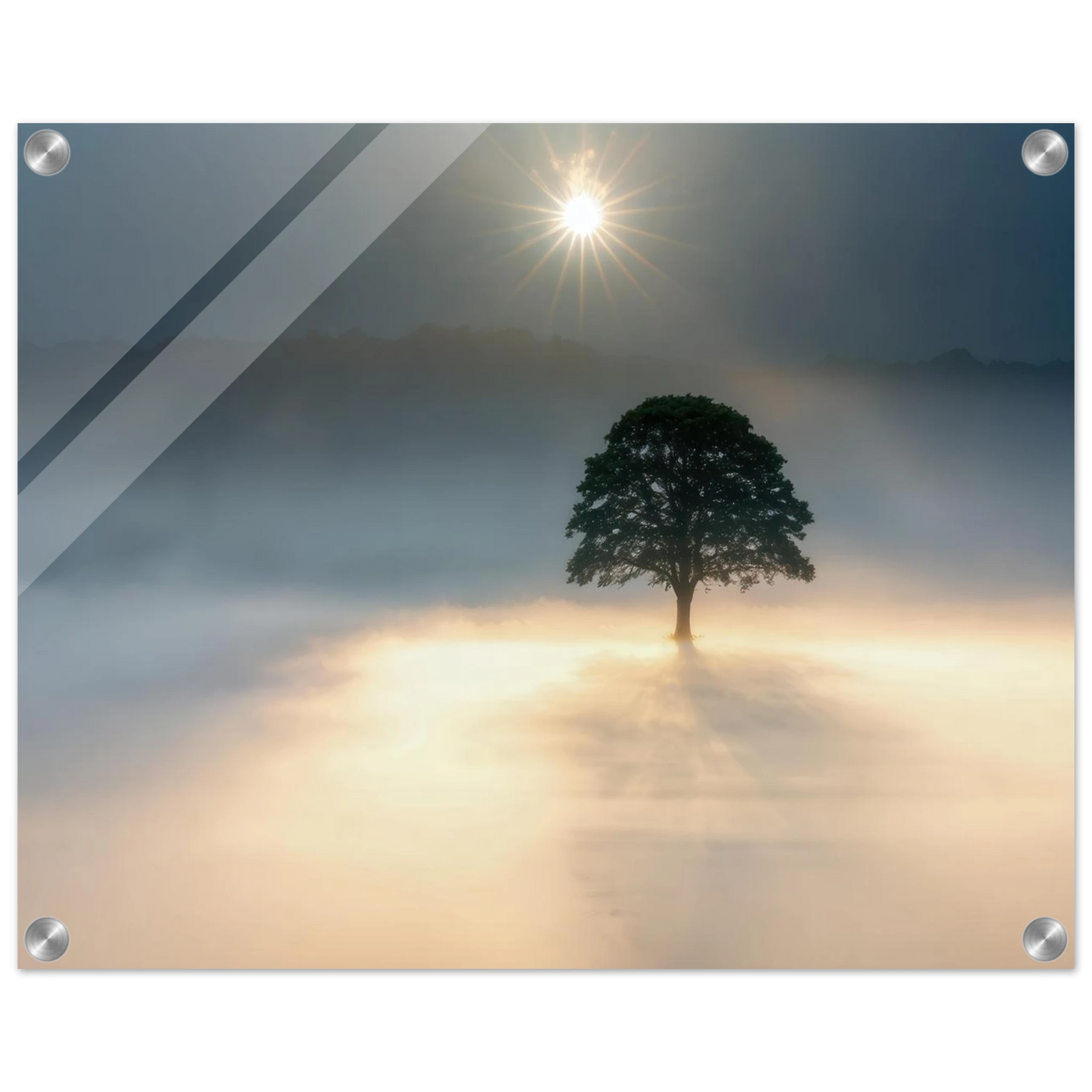 Wandbild mystisches baum wandbild einzelner baum im nebel sonnenaufgang waehlbar in verschiedenen groessen