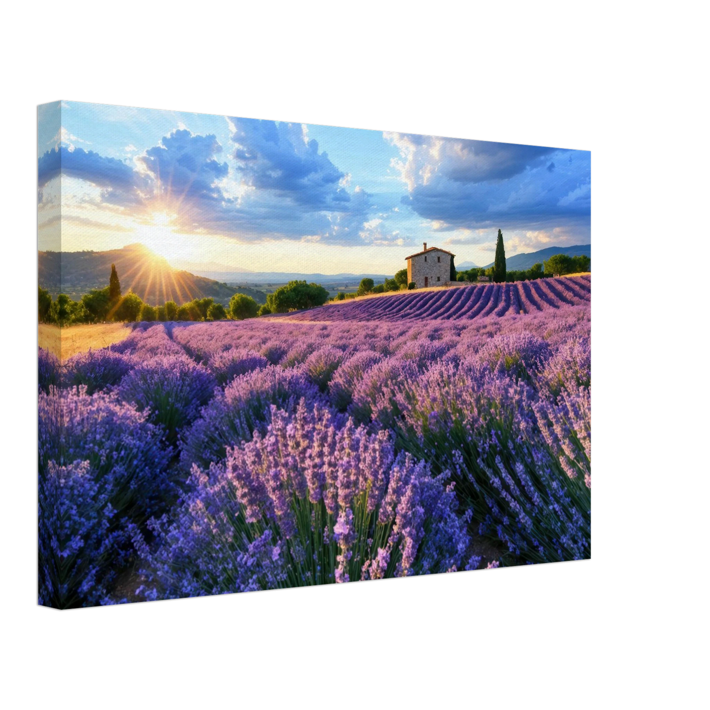 Wandbild sonnenuntergang ueber lavendelfeldern idyllische provence landschaft im wunschformat