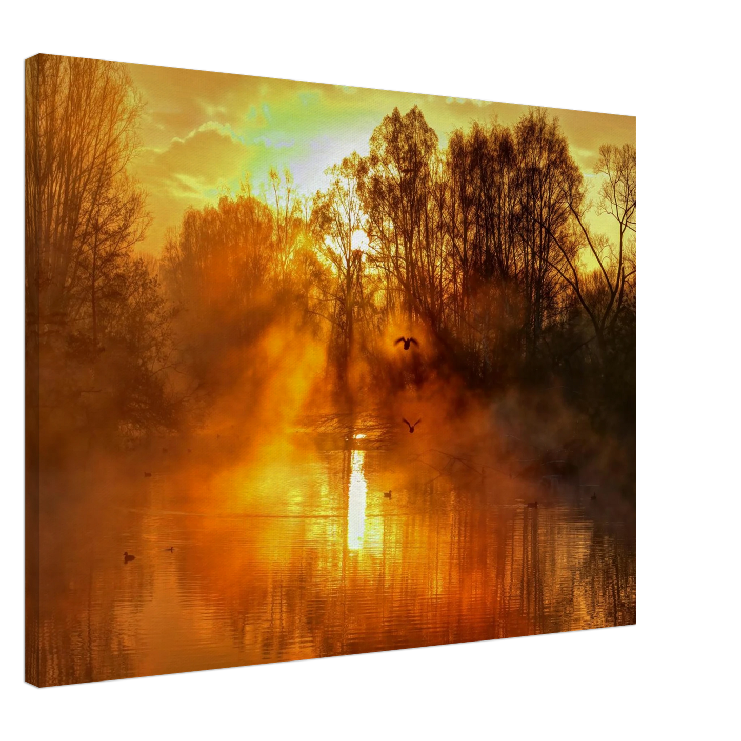 Wandbild Goldene morgenroete wandbild nebelwald poster in 25 groessenausfuehrungen