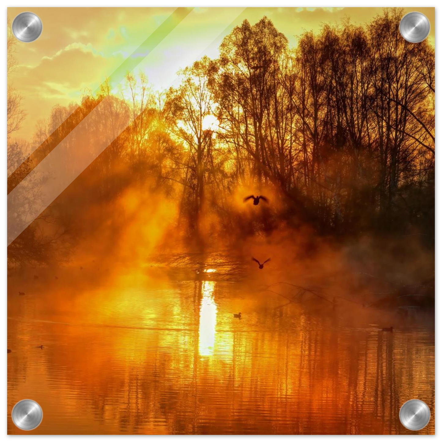 Wandbild Goldene morgenroete wandbild nebelwald poster in 25 groessenausfuehrungen