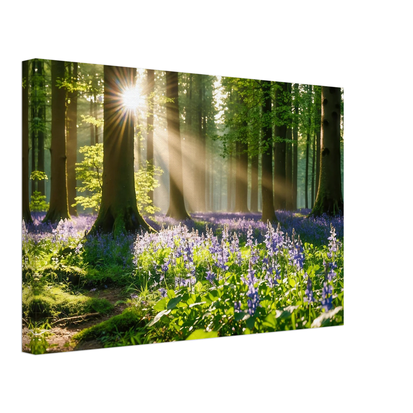 Wandbild mystischer morgenwald mit sonnenstrahlen und lila blueten in vielen groessen