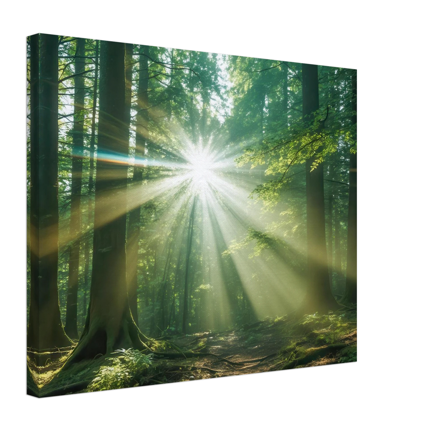 Wandbild sonnenstrahlen im wald mystisches waldlicht kunstdruck in ihrer wunschgroesse