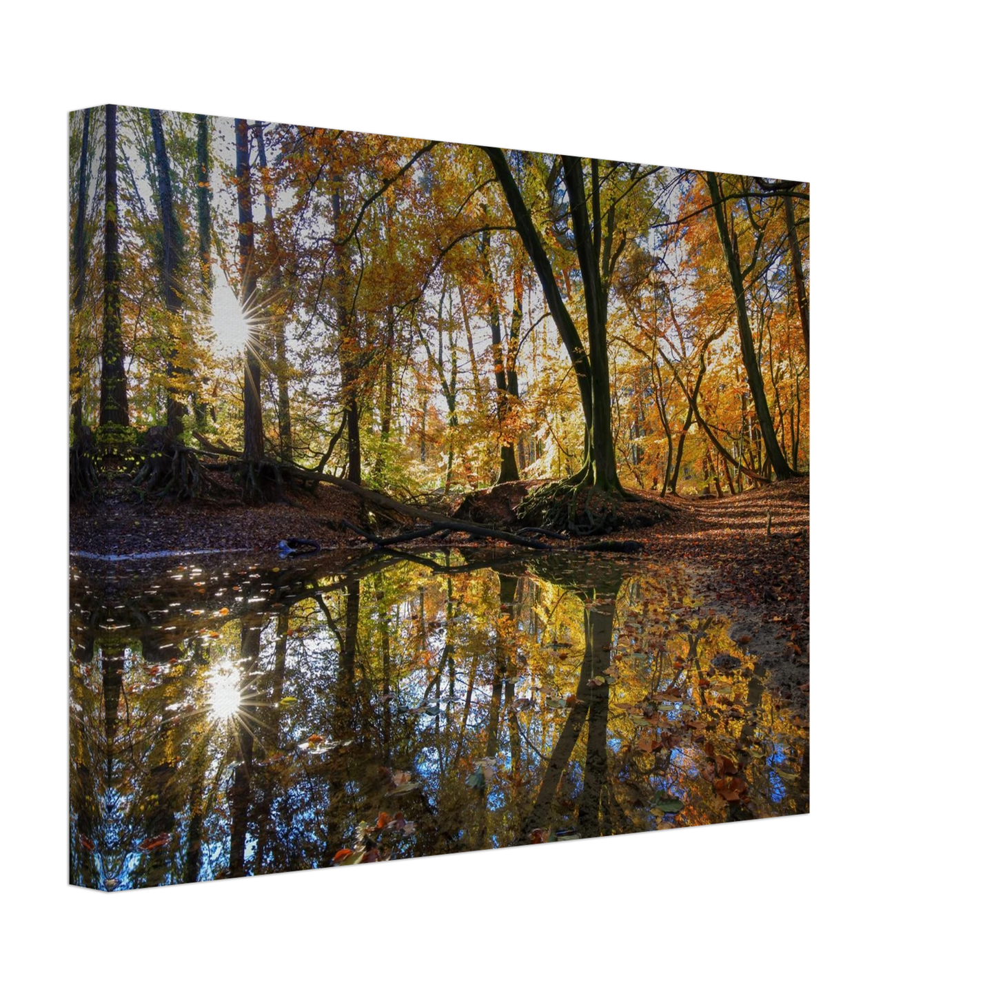Wandbild goldener herbstwald stimmungsvolle spiegelung der natur in ihrer wunschgroesse
