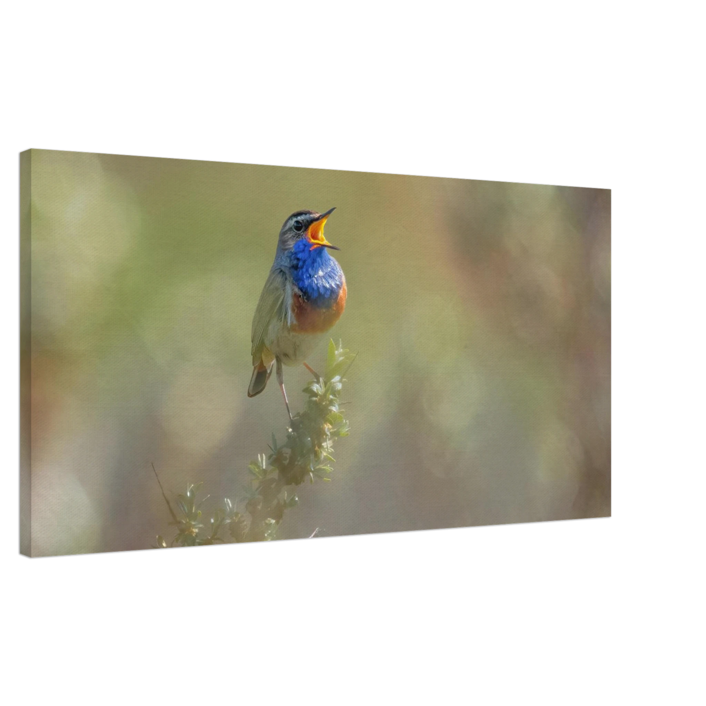 Wandbild singvogel in blautoenen lebendige vogelkunst fuer ihr zuhause in ihrer wunschgroesse