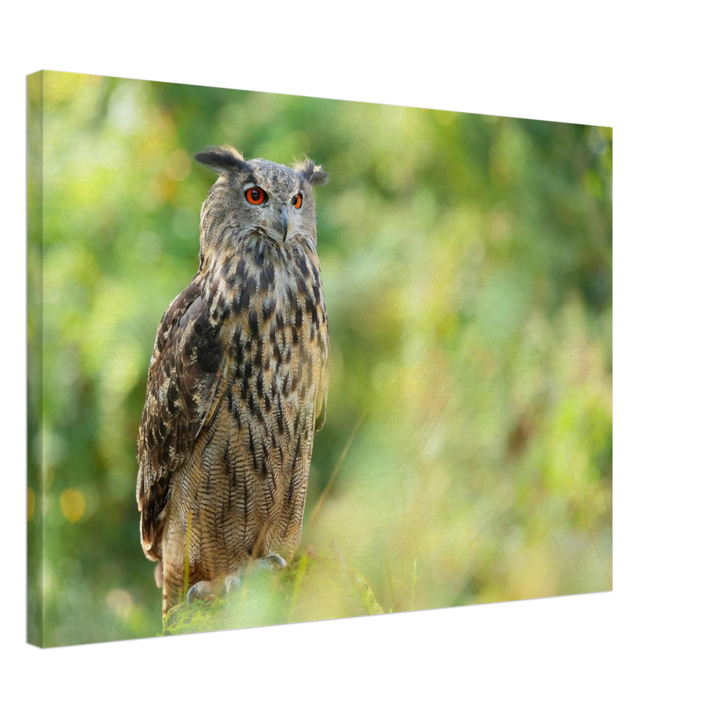 Wandbild mystische eule majestaetisches waldtier mit leuchtenden augen in ihrer wunschgroesse