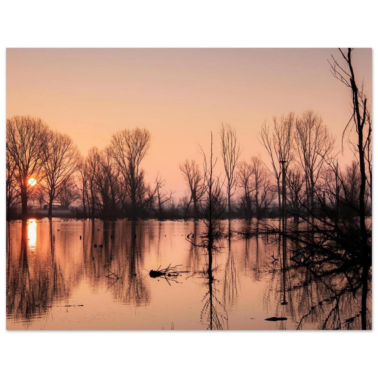 Wandbild mystischer sonnenuntergang am see vertraeumtes naturbild zum aufhaengen in ihrer wunschgroesse