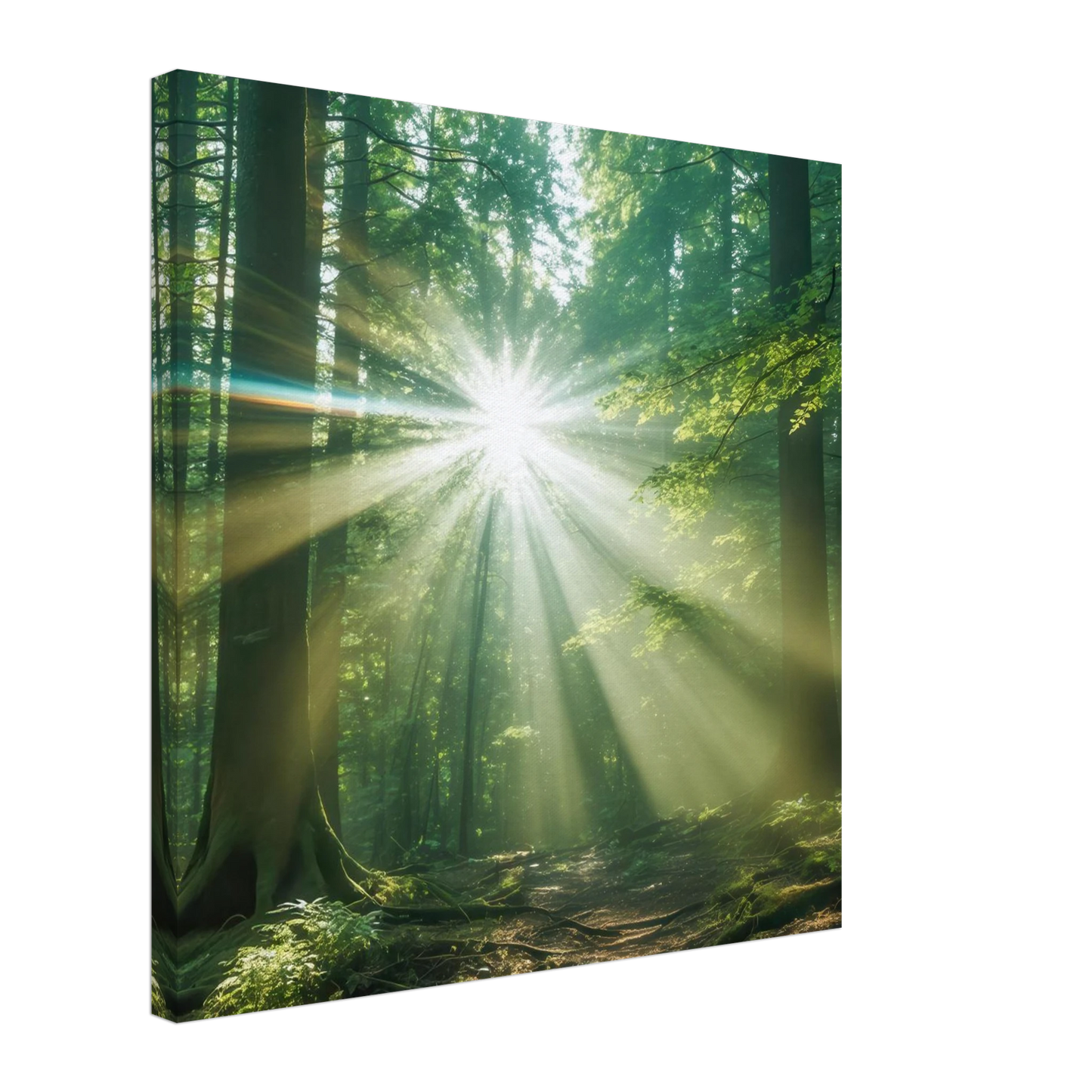 Wandbild sonnenstrahlen im wald mystisches waldlicht kunstdruck in ihrer wunschgroesse