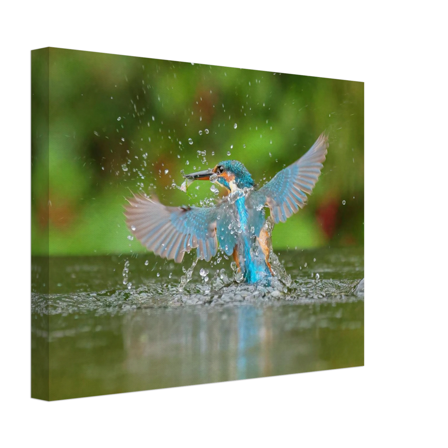 Wandbild eisvogel lebendige pracht ein dynamisches meisterwerk der wildnis