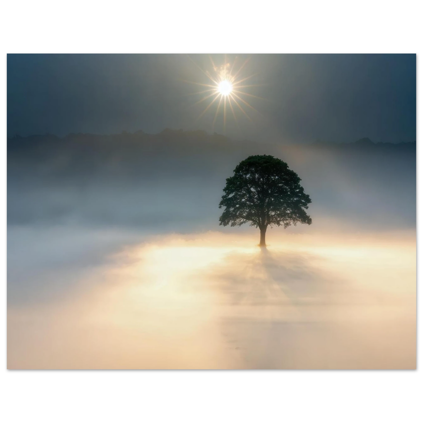 Wandbild mystisches baum wandbild einzelner baum im nebel sonnenaufgang waehlbar in verschiedenen groessen