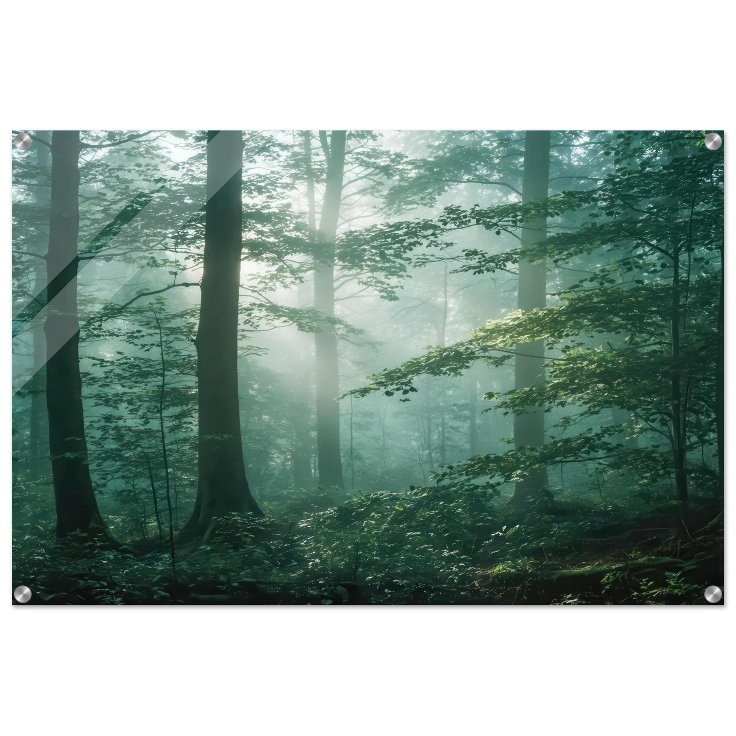 Wandbild mystischer smaragd wald mit sonnenstrahlen beruhigende nebelwald kunst in ihrer wunschgroesse